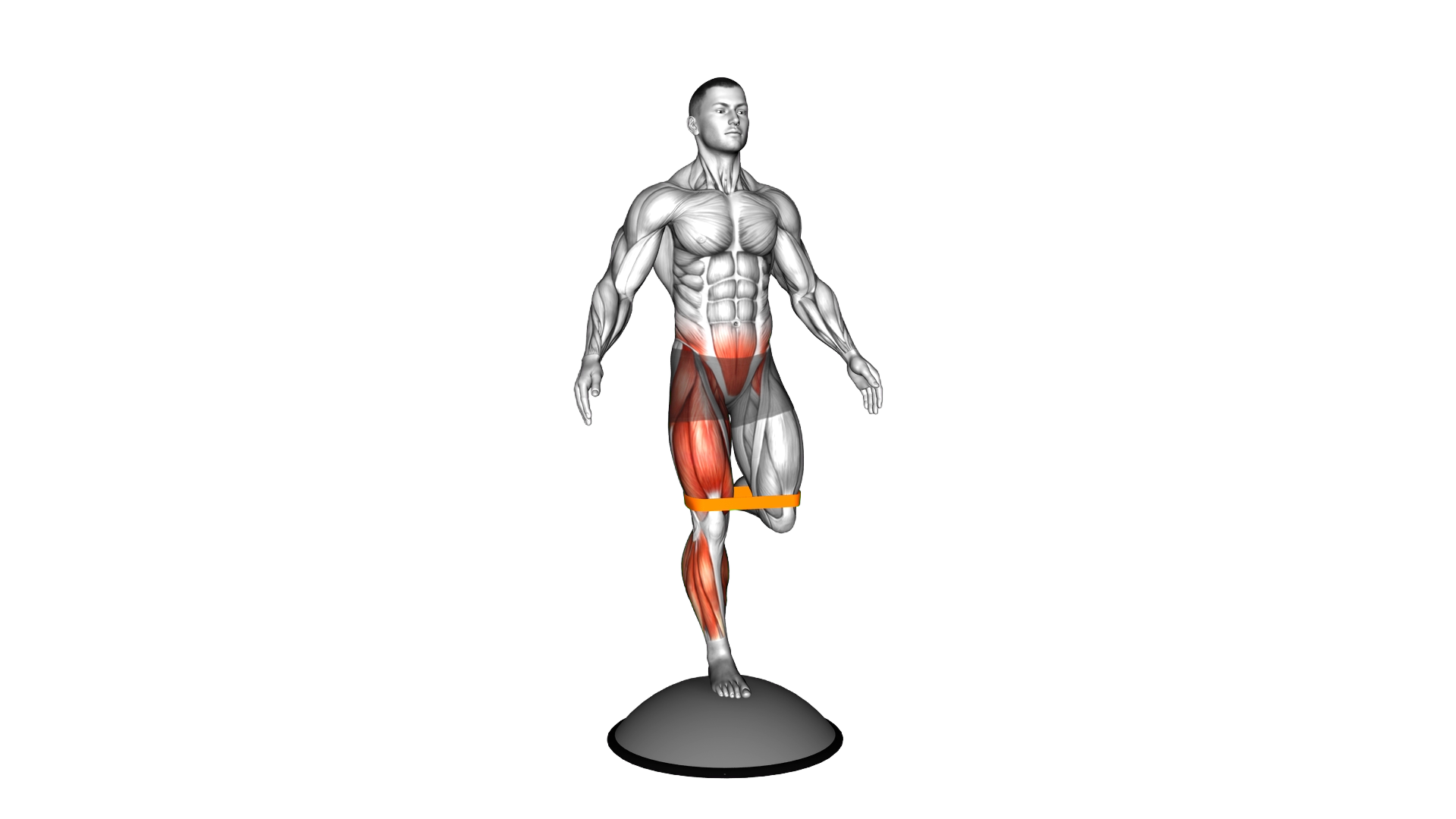Resistance Band Bosu Ball Single Leg Balance exercise demonstration