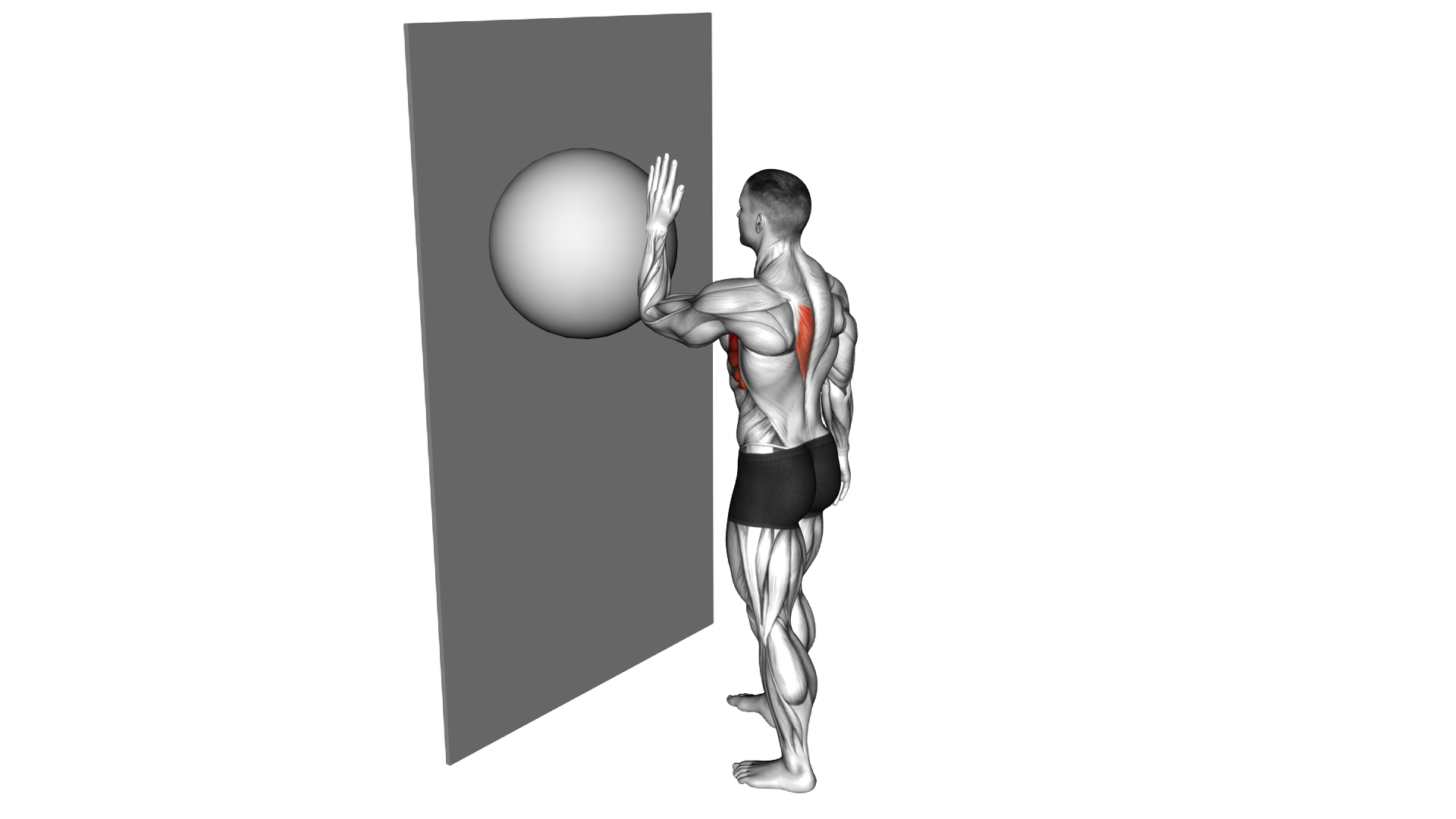 Exercise Ball Serratus Wall Single Leg Slide exercise demonstration
