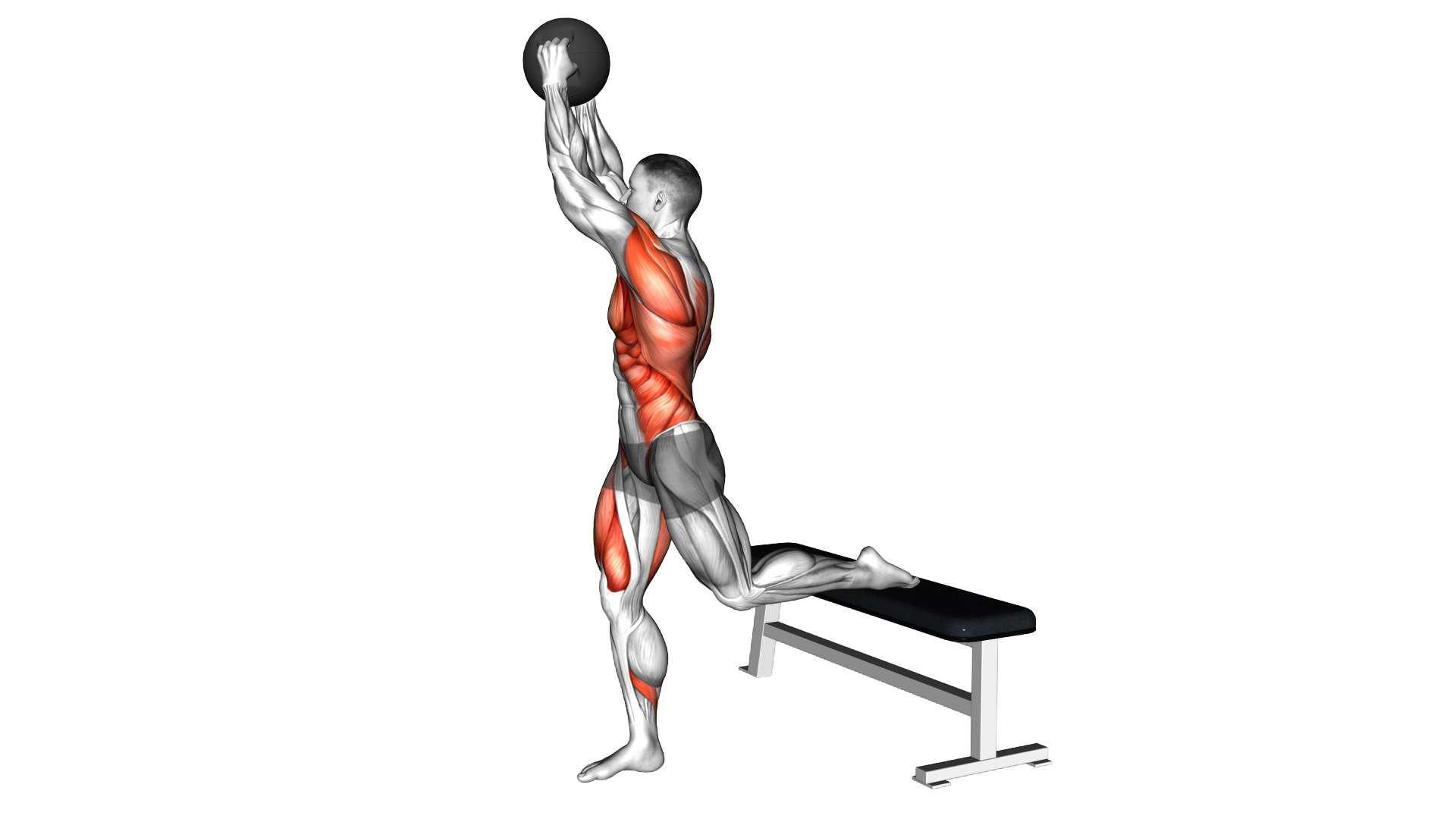 Medicine Ball Woodchop Bulgarian Split Squat exercise demonstration
