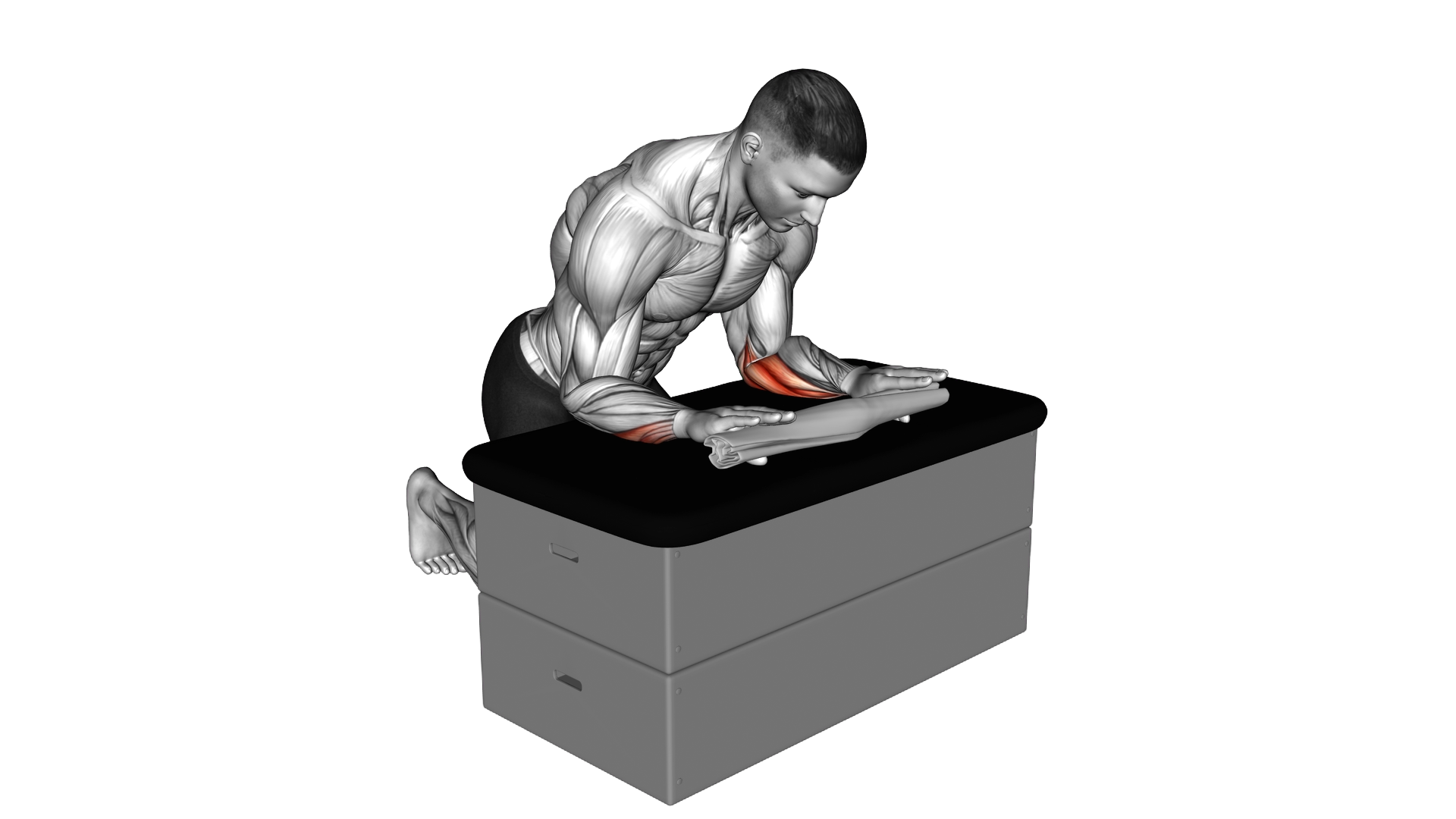 Finger Extension While Holding a Towel exercise demonstration