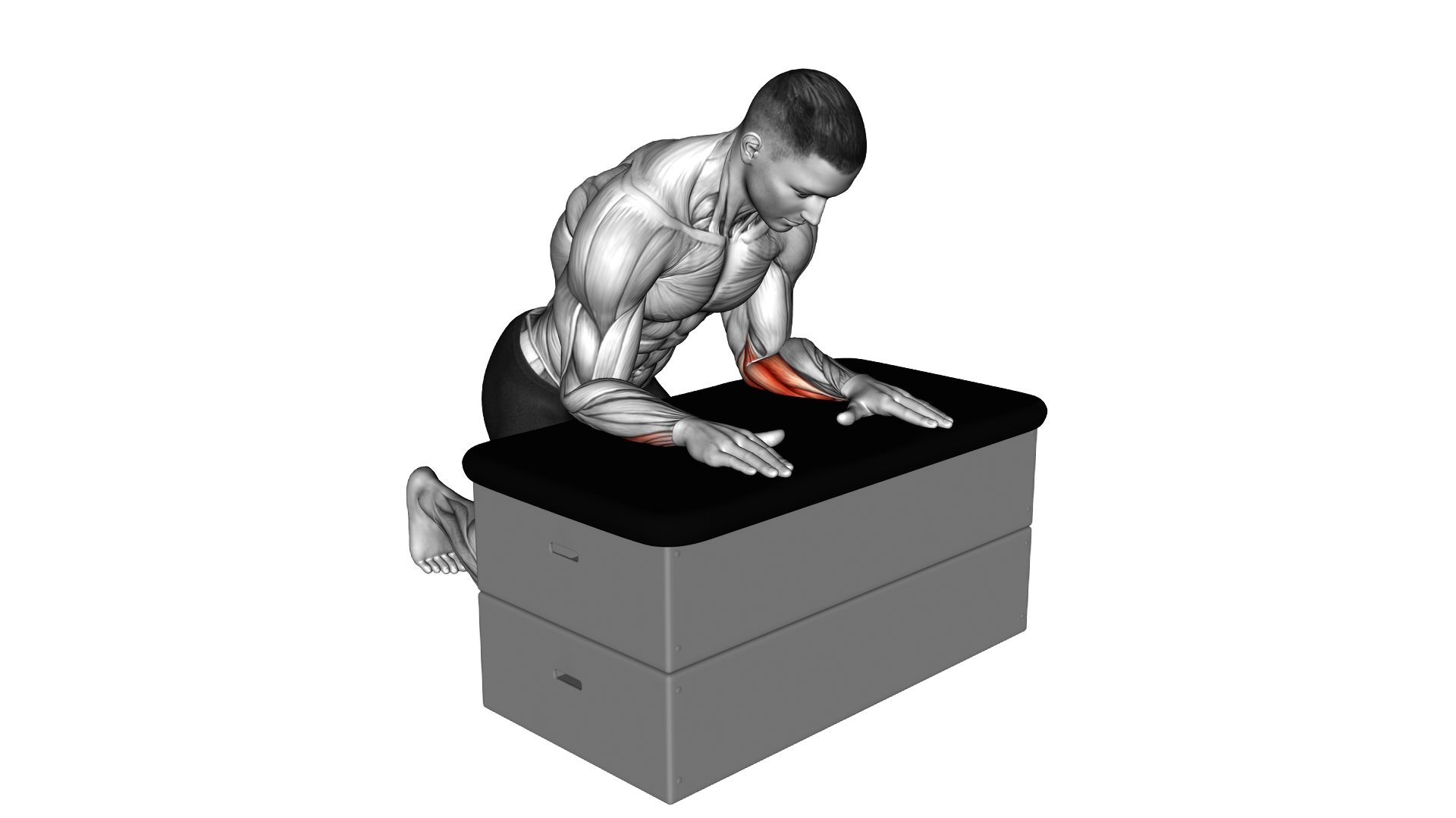 Finger Flexion While Extending Thumb exercise demonstration