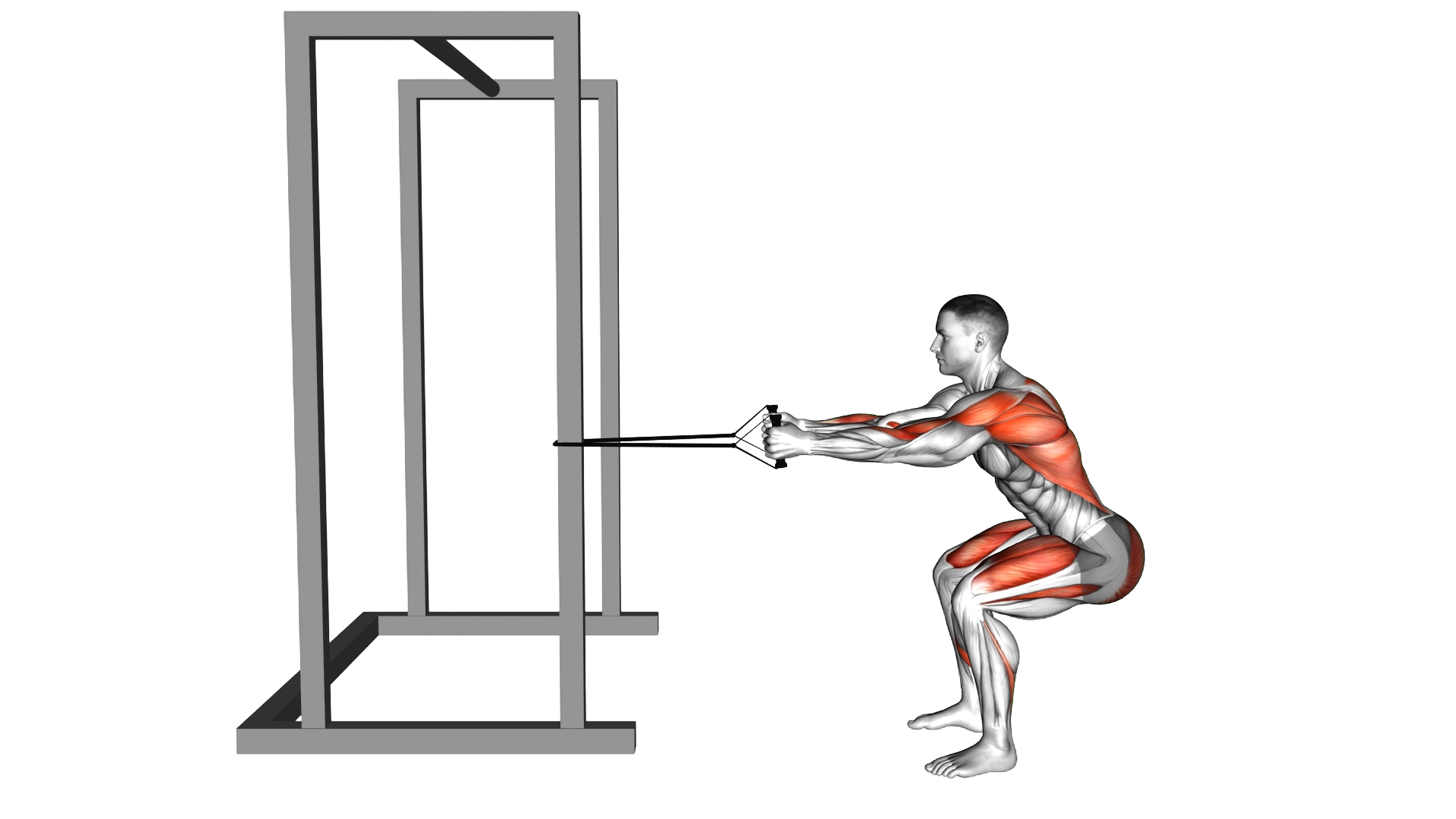 Band Squat Row exercise demonstration