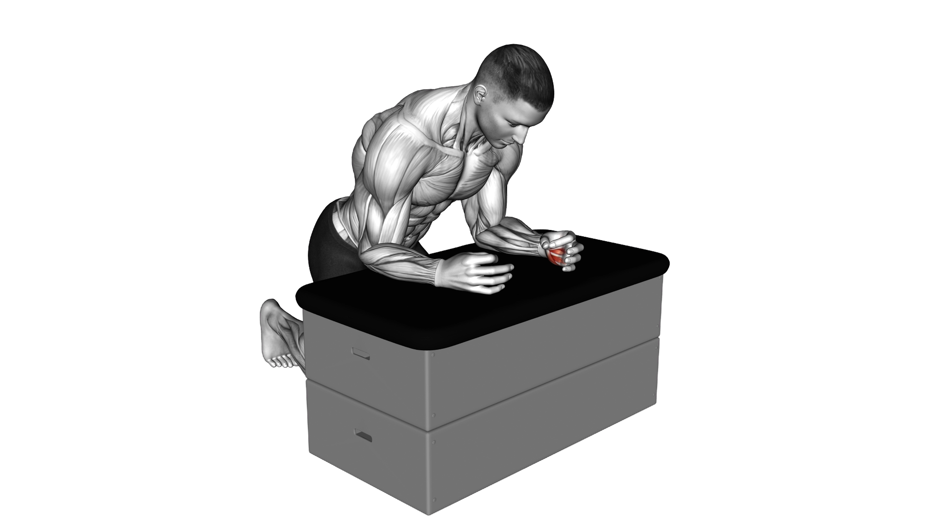 Finger Pinch exercise demonstration