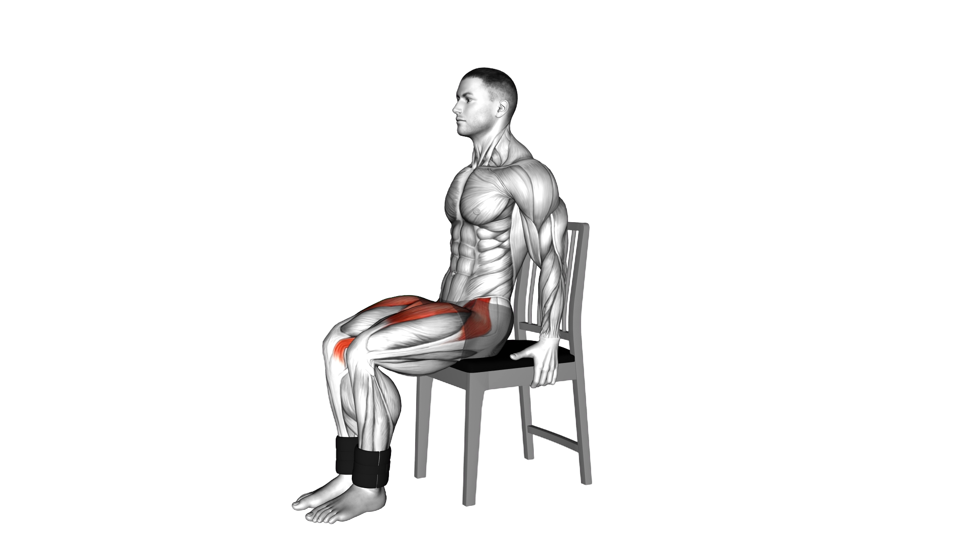 Weighted Seated Marching on a Chair exercise demonstration