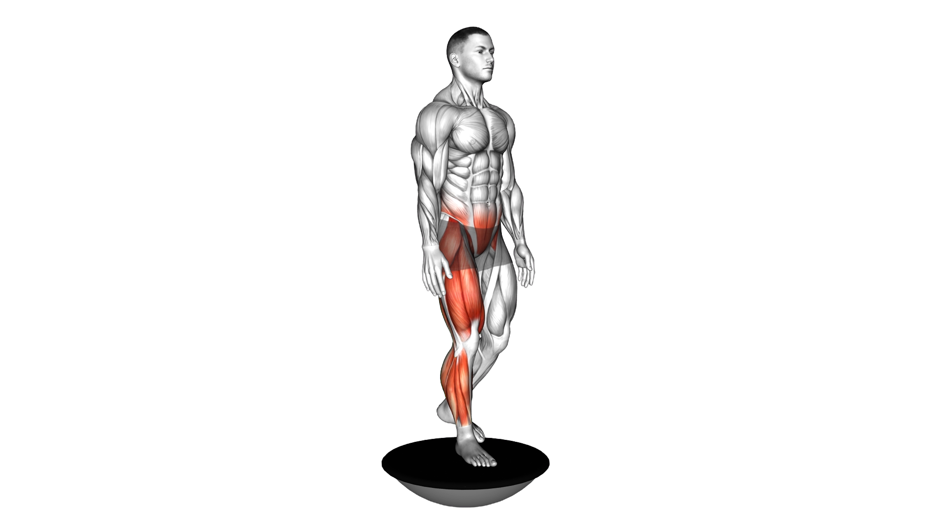 Bosu Ball Single Leg Deadlift exercise demonstration