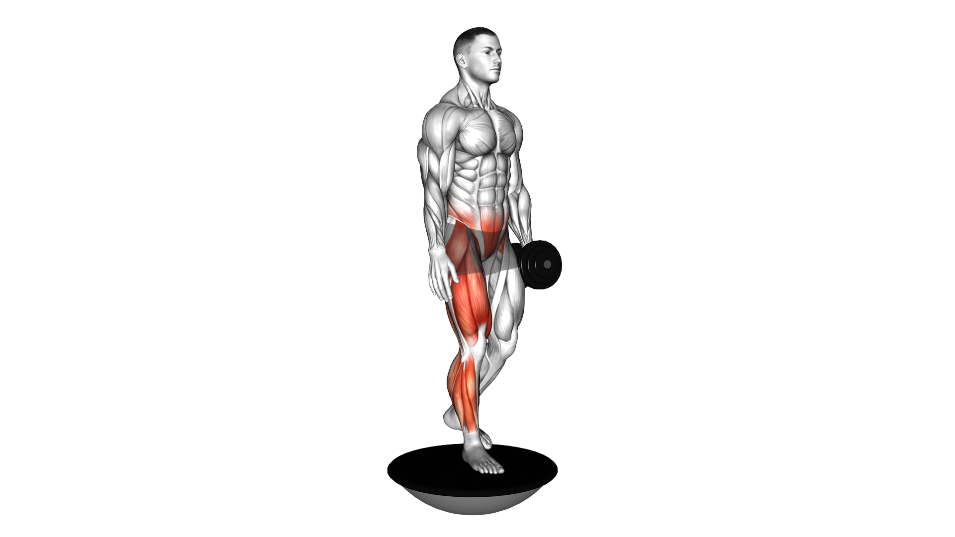Dumbbell Bosu Ball Single Leg Deadlift exercise demonstration