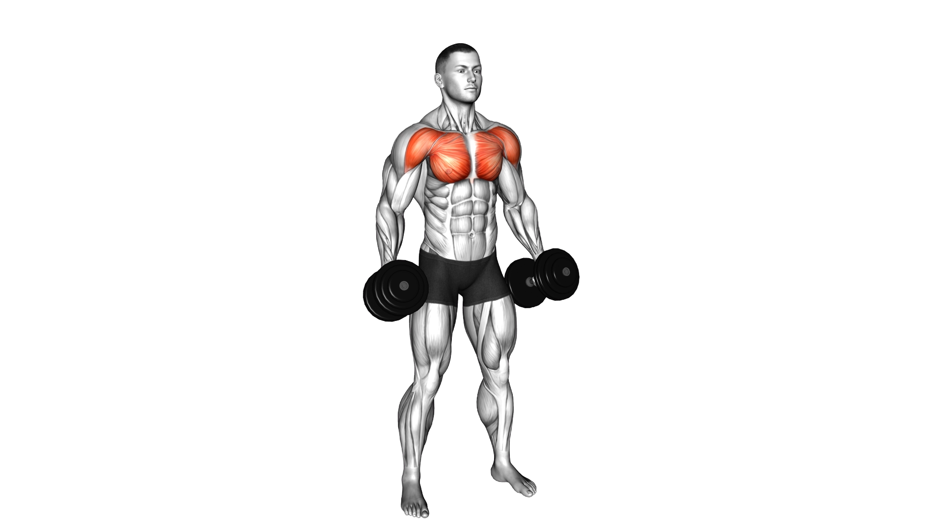 Dumbbell Standing Alternating Cross Raise exercise demonstration