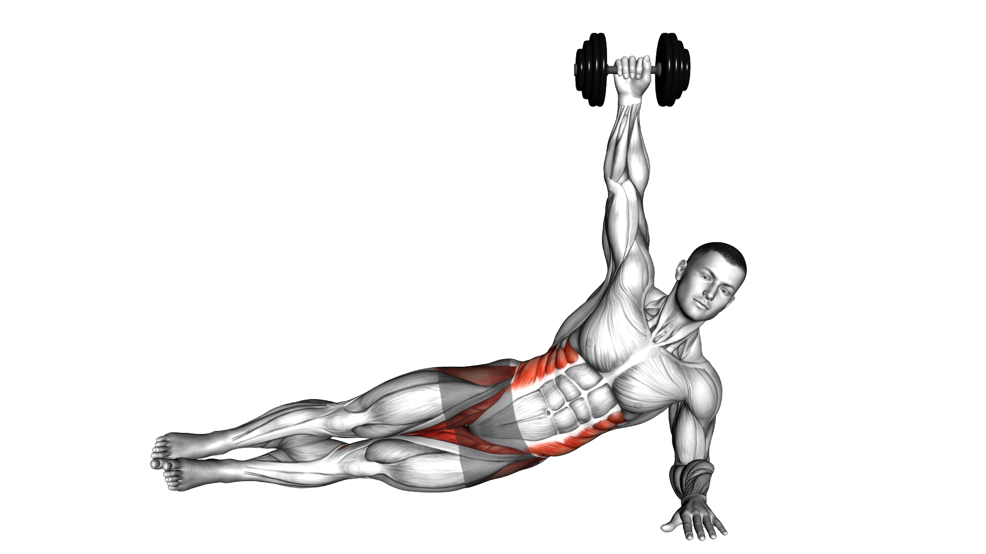 Dumbbell Side Plank exercise demonstration