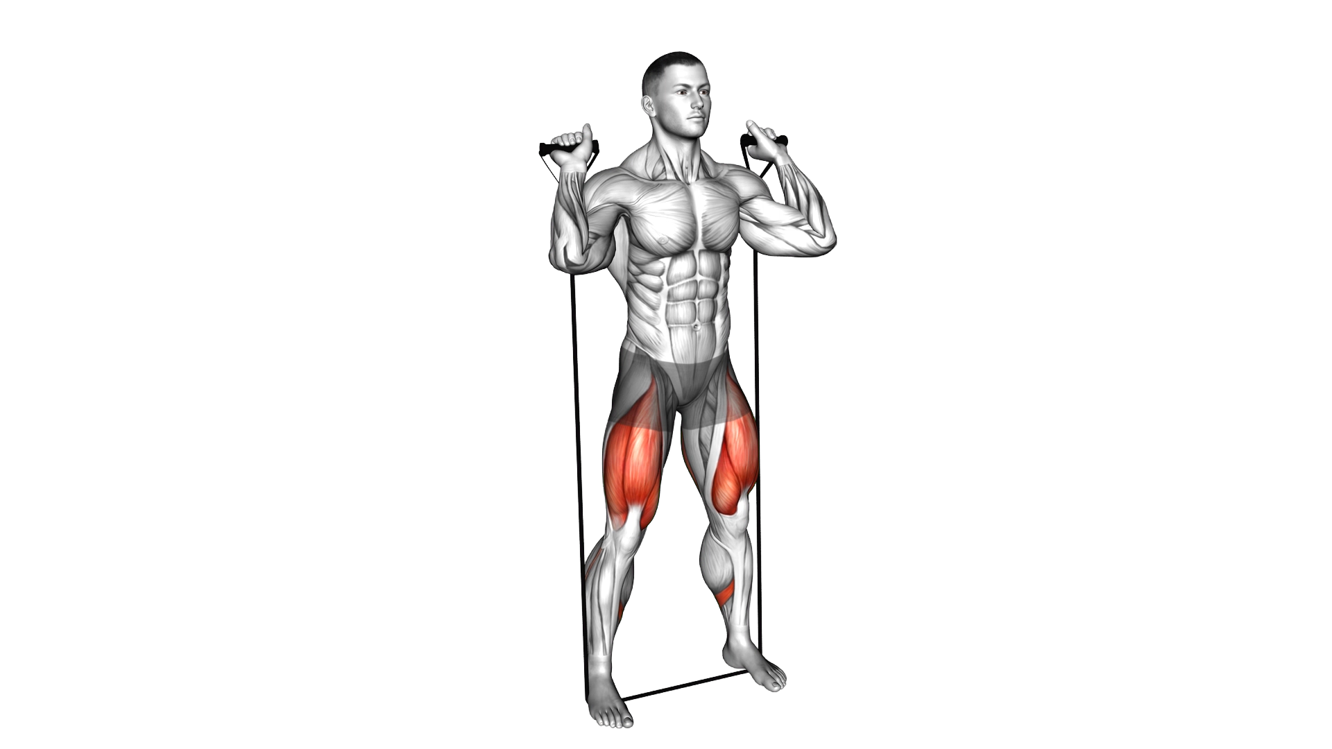 Band squat exercise demonstration