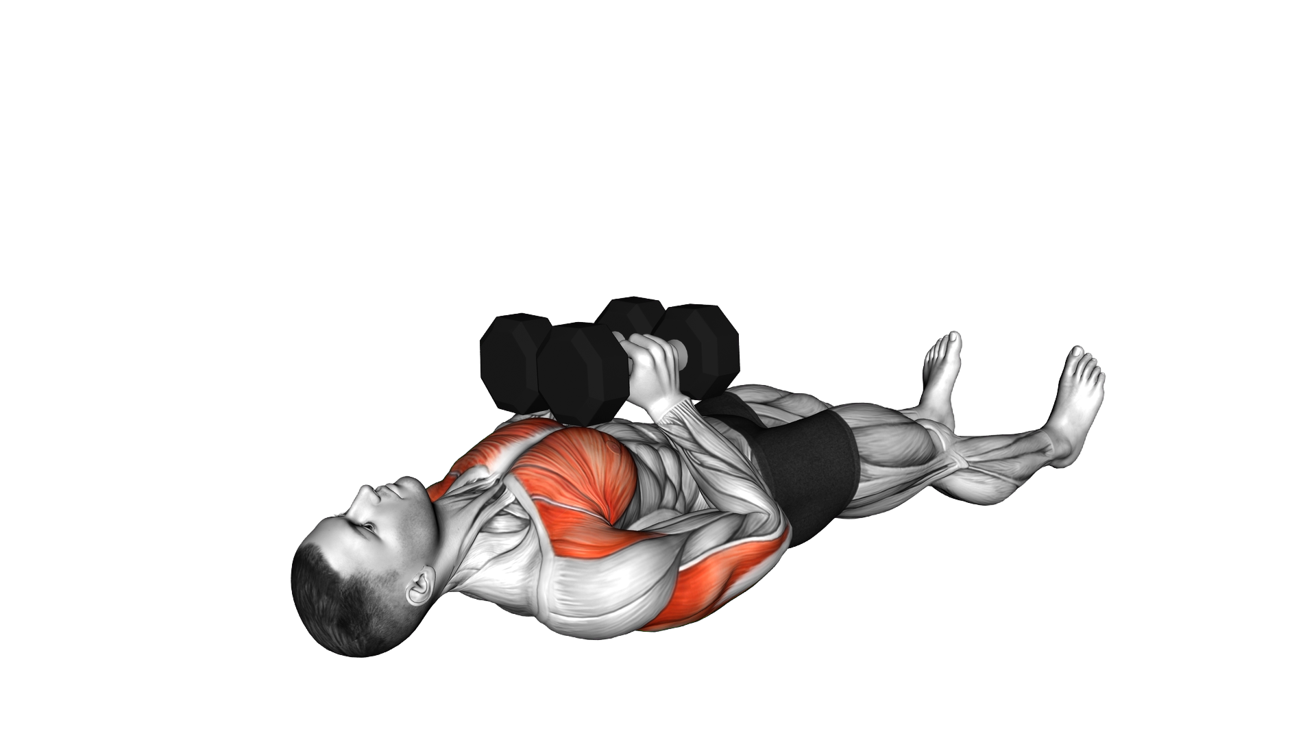 Dumbbell Lying Floor Squeeze Press exercise demonstration