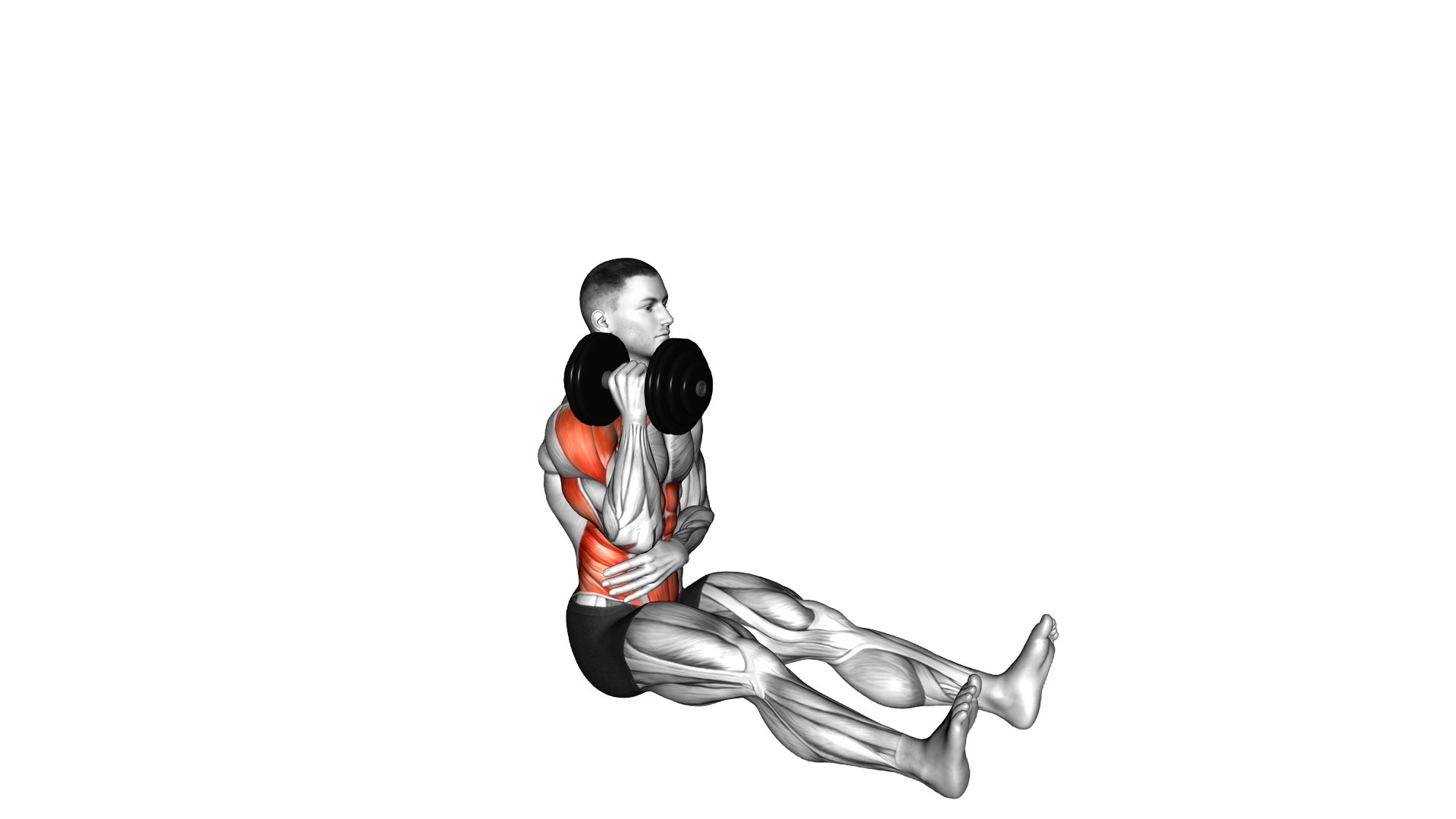 Dumbbell Single Arm Z Press exercise demonstration