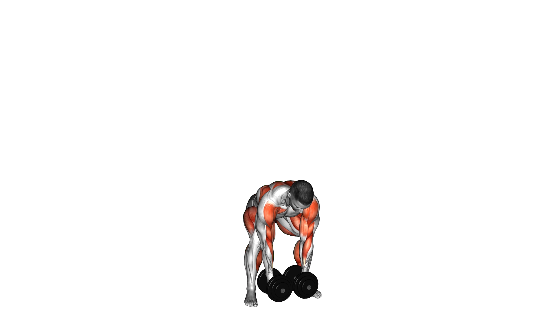 Dumbbell Hang Snatch exercise demonstration