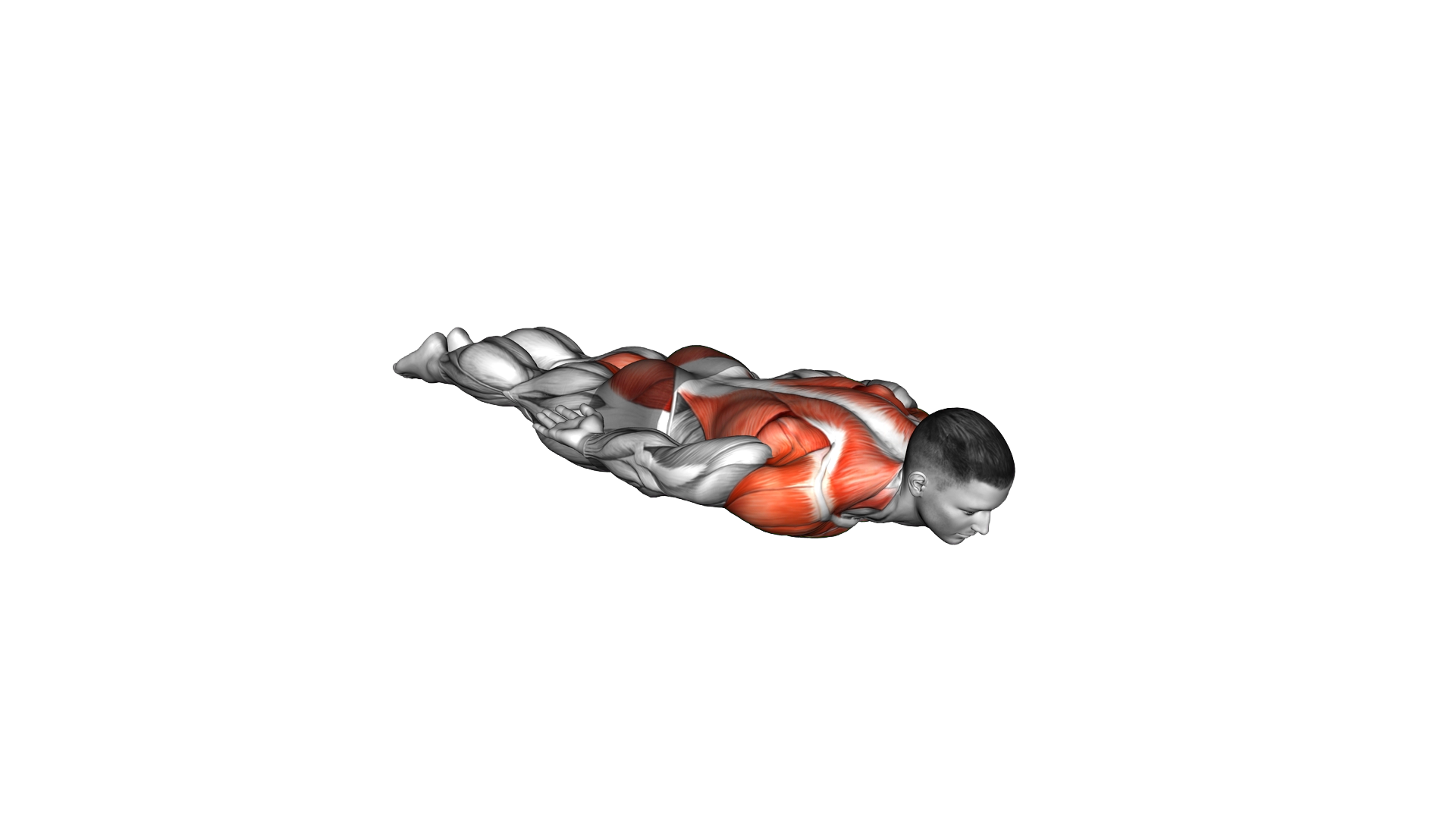 Snow Angel Face to Floor exercise demonstration