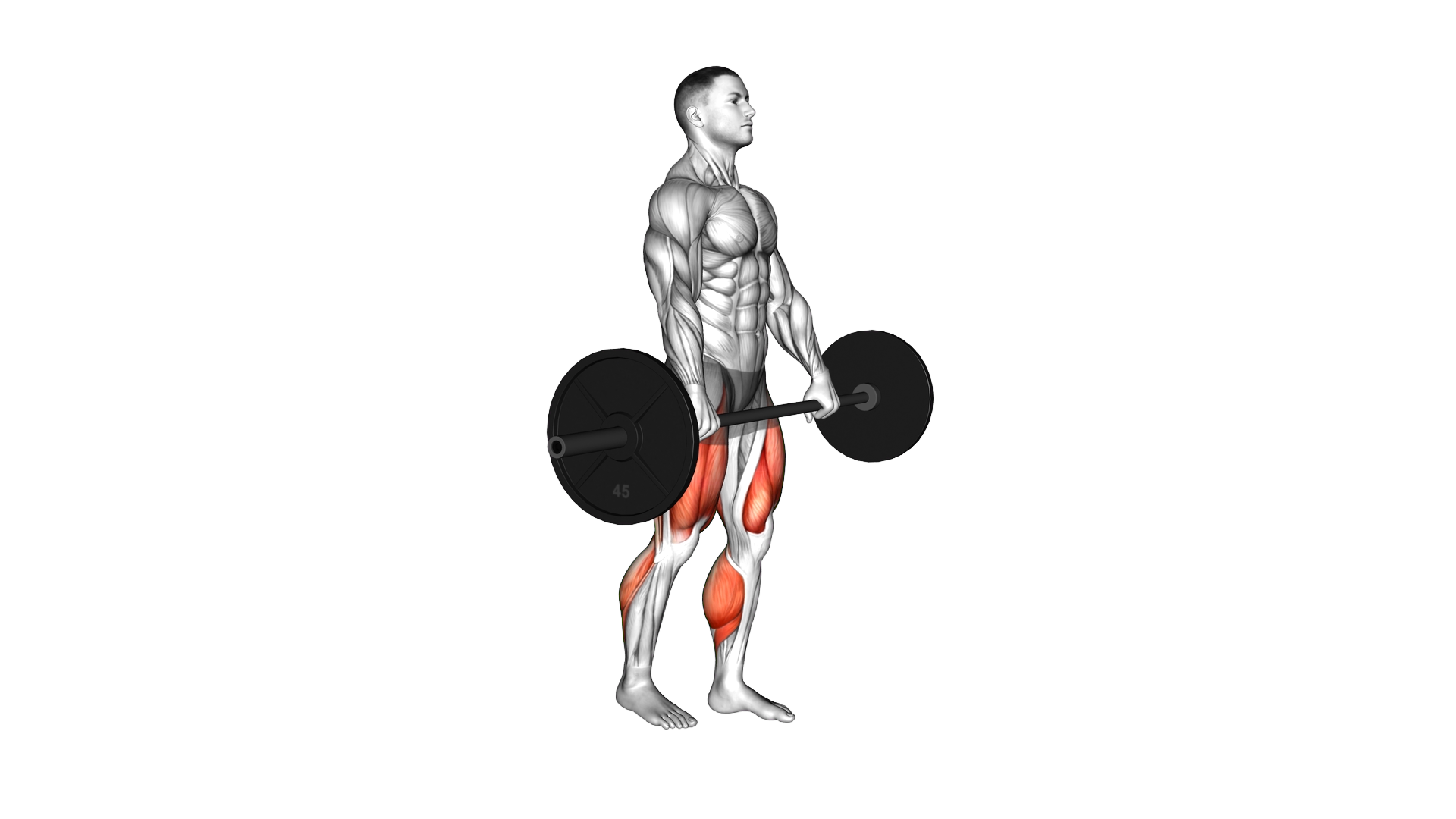 Barbell Split Stance RDL exercise demonstration