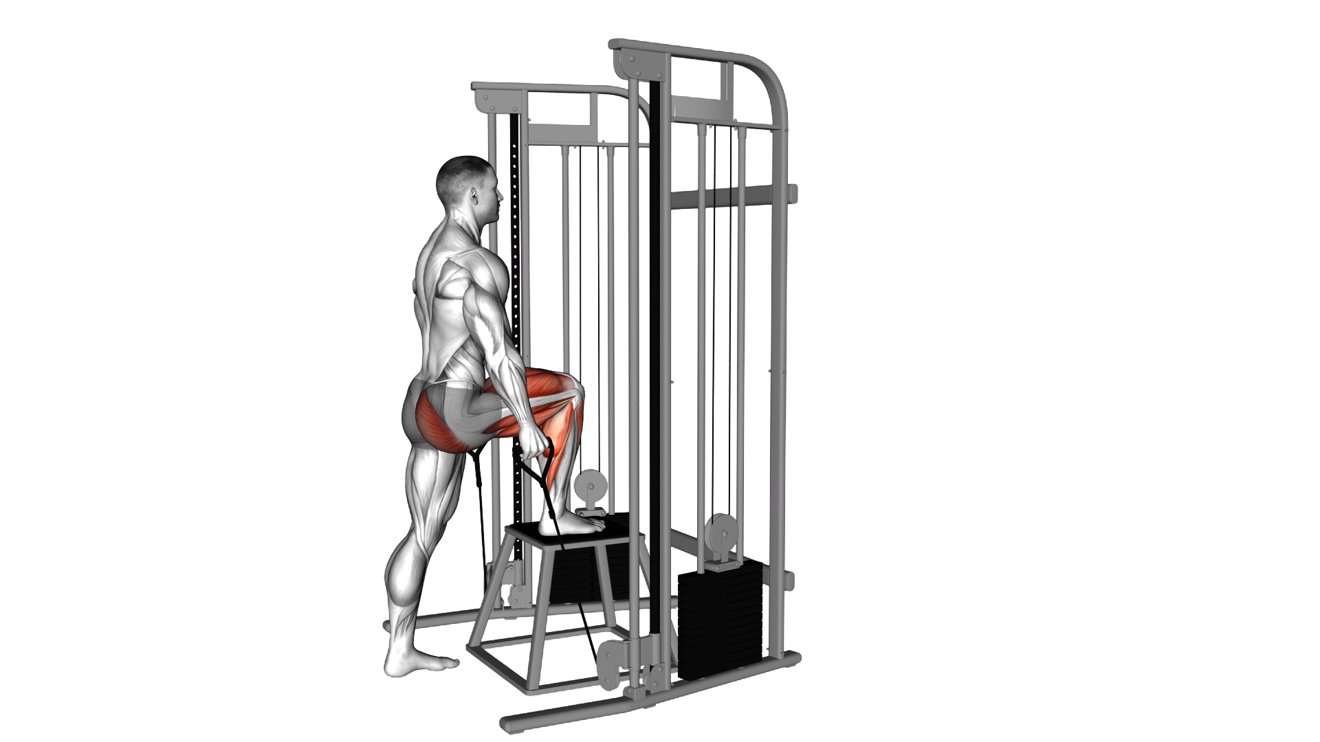 Cable Step Up exercise demonstration