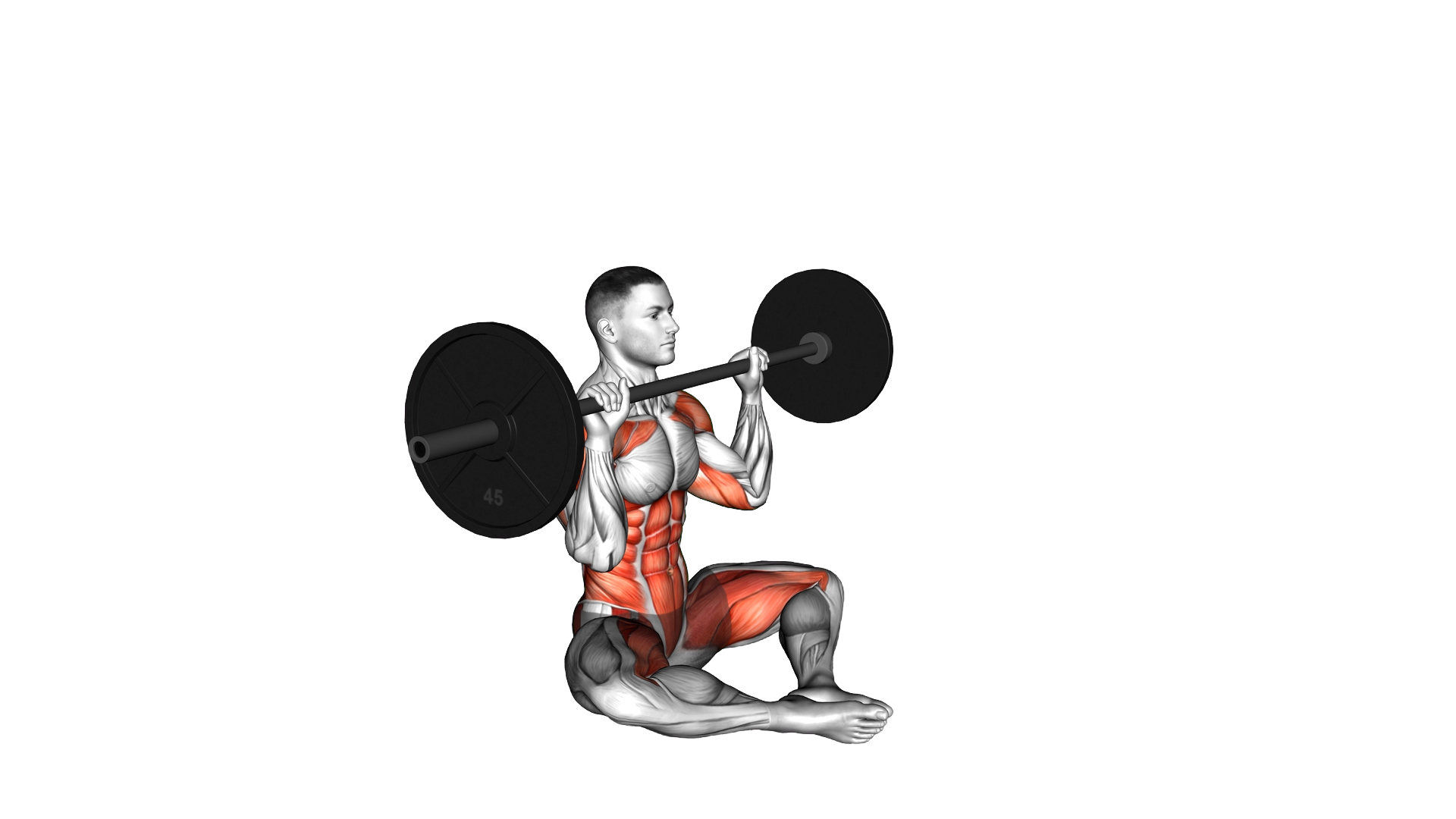 Barbell Butterfly Z Press exercise demonstration
