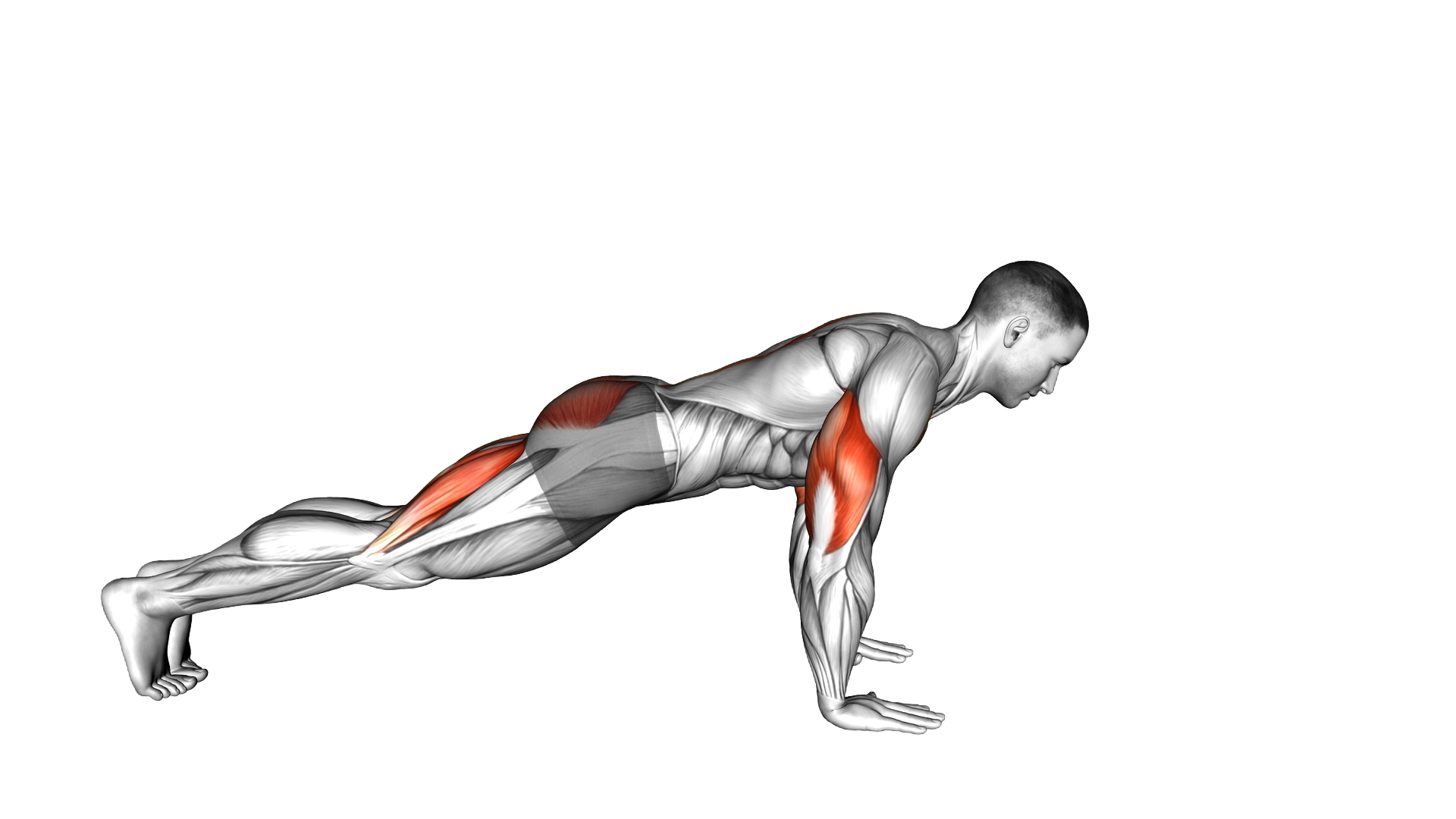Superman to Push Up exercise demonstration