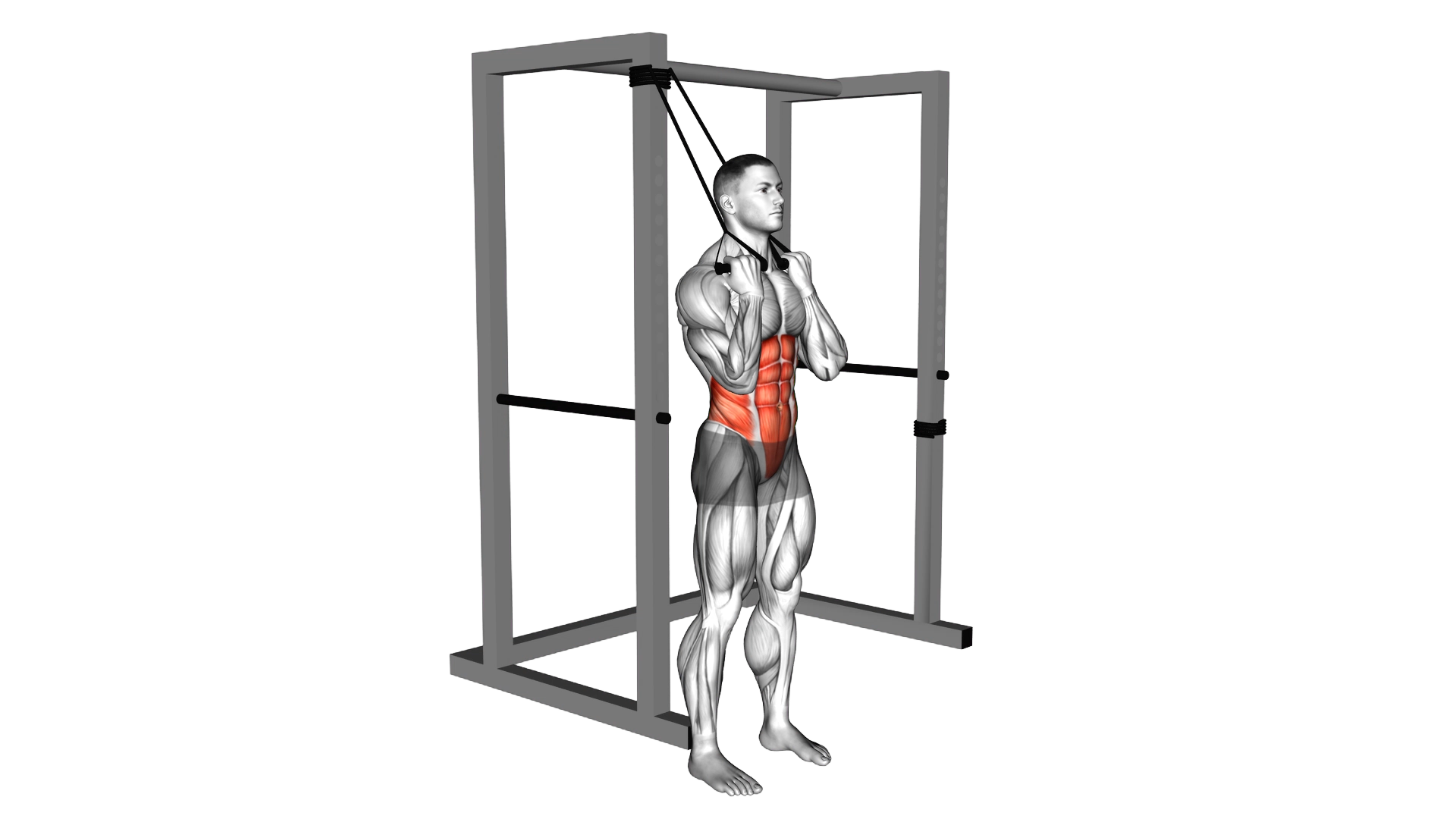 Band standing crunch exercise demonstration