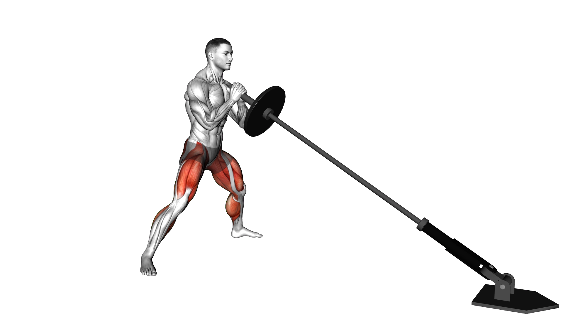 Landmine Cossack Squat exercise demonstration