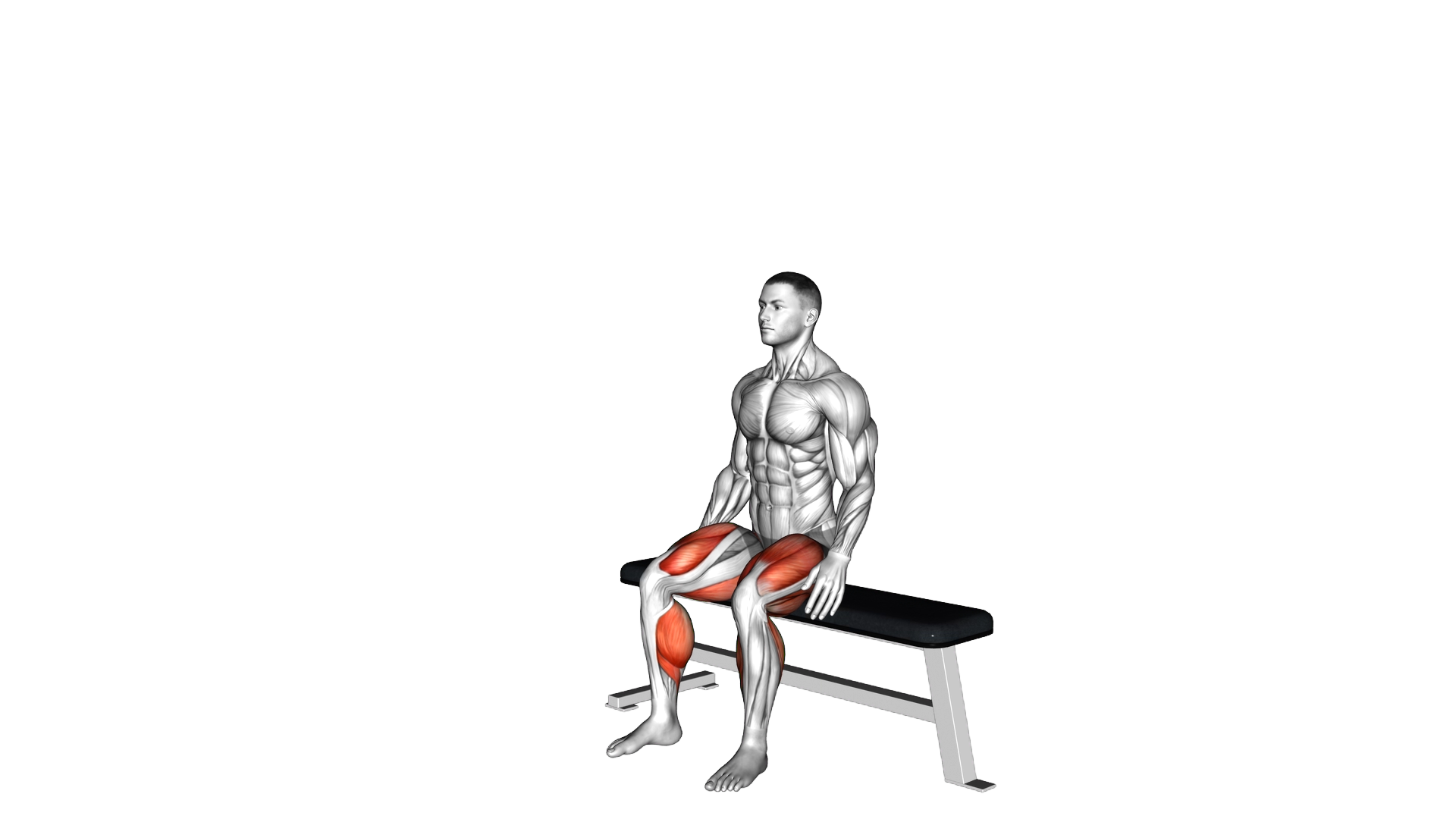 Jump from Seated Position exercise demonstration