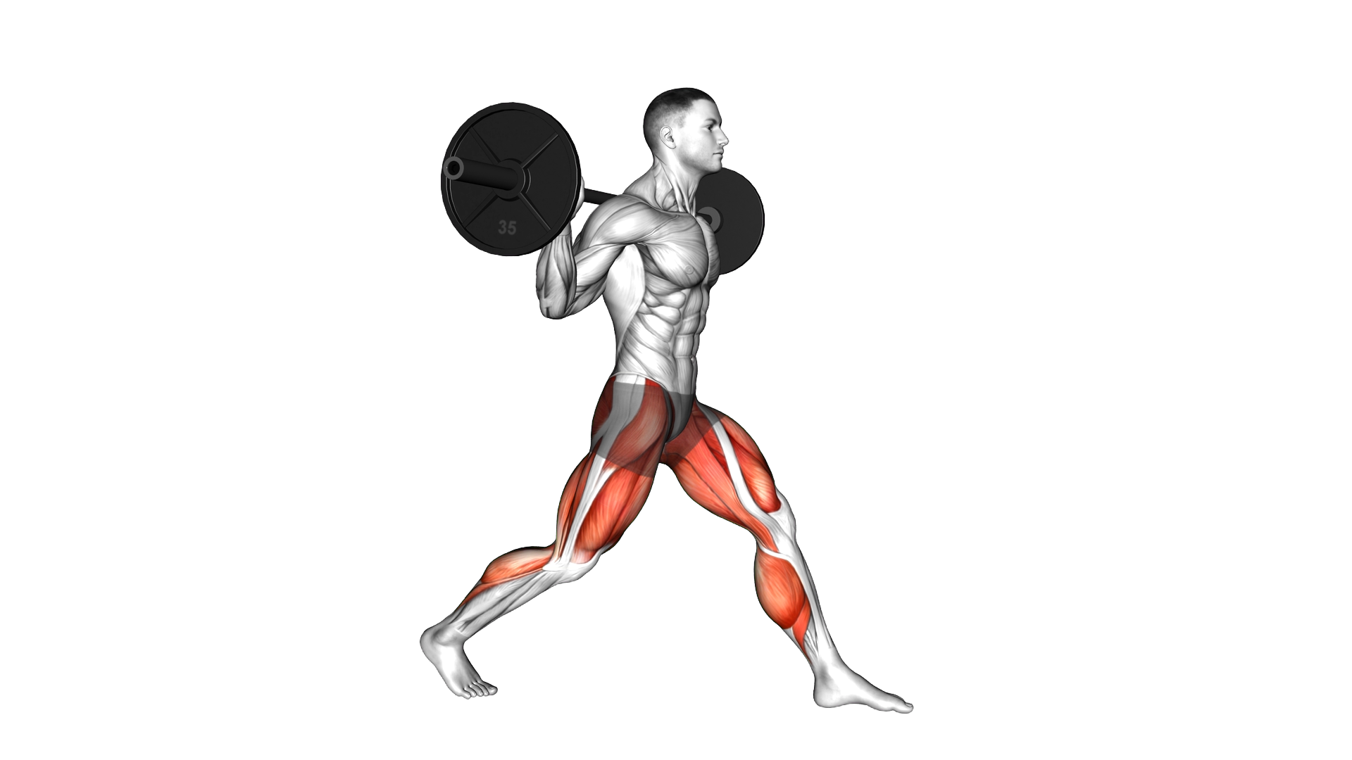 Barbell Static Lunge exercise demonstration