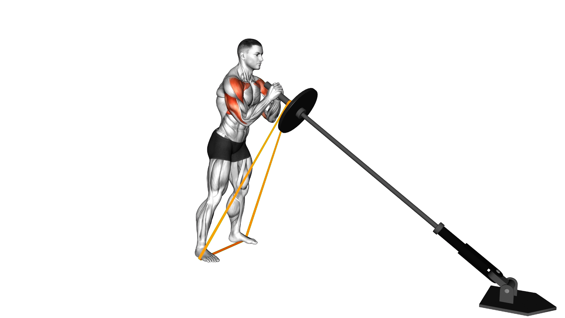 Landmine Banded Press exercise demonstration