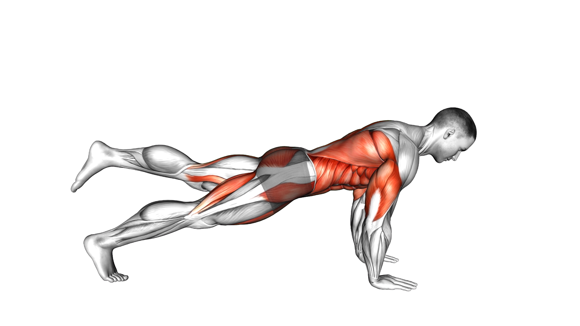 Single Leg Down to Upward Dog exercise demonstration