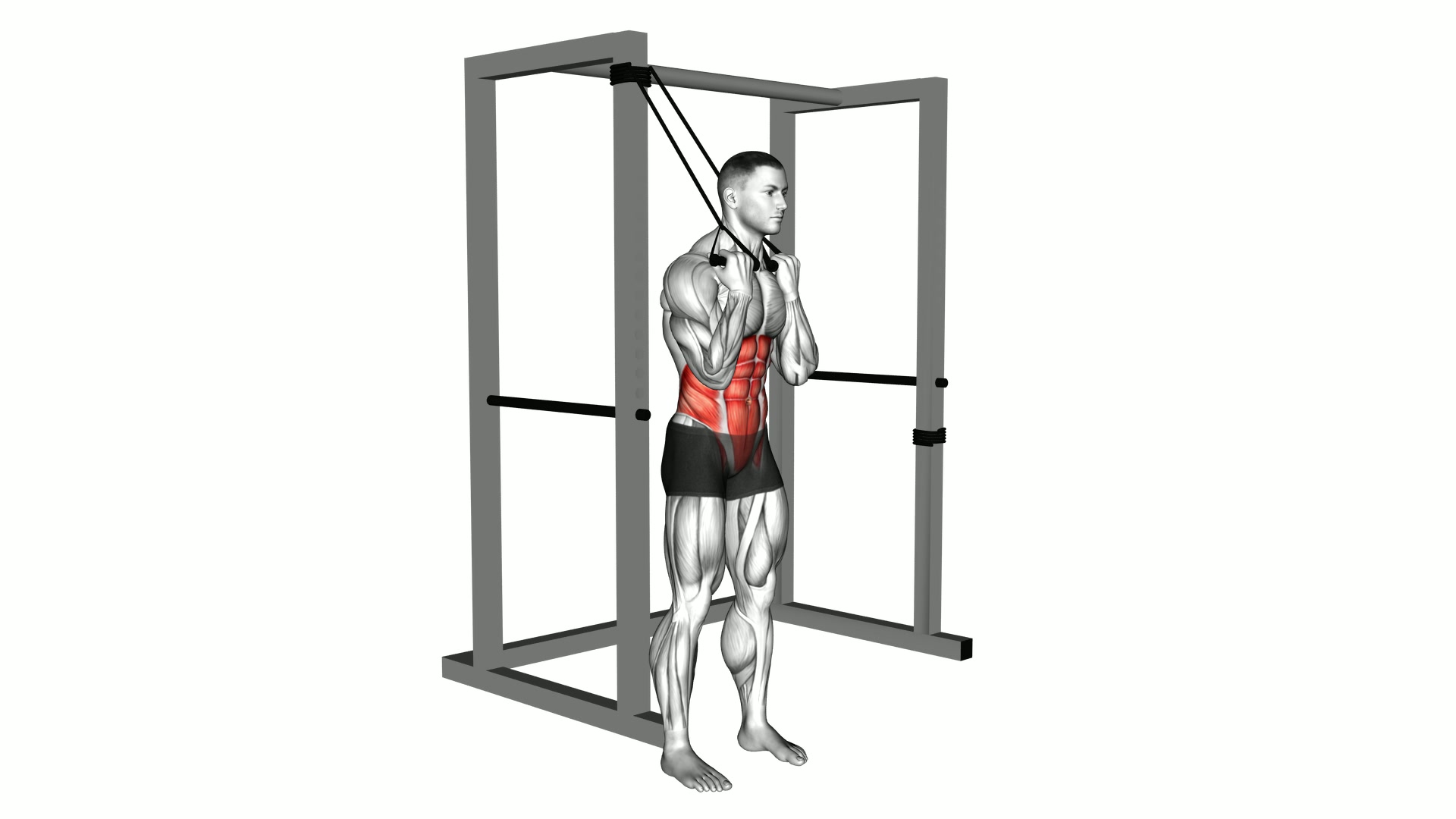 Band standing twisting crunch exercise demonstration