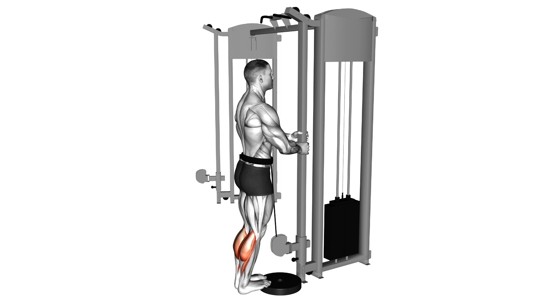 Cable Standing Calf Raise exercise demonstration