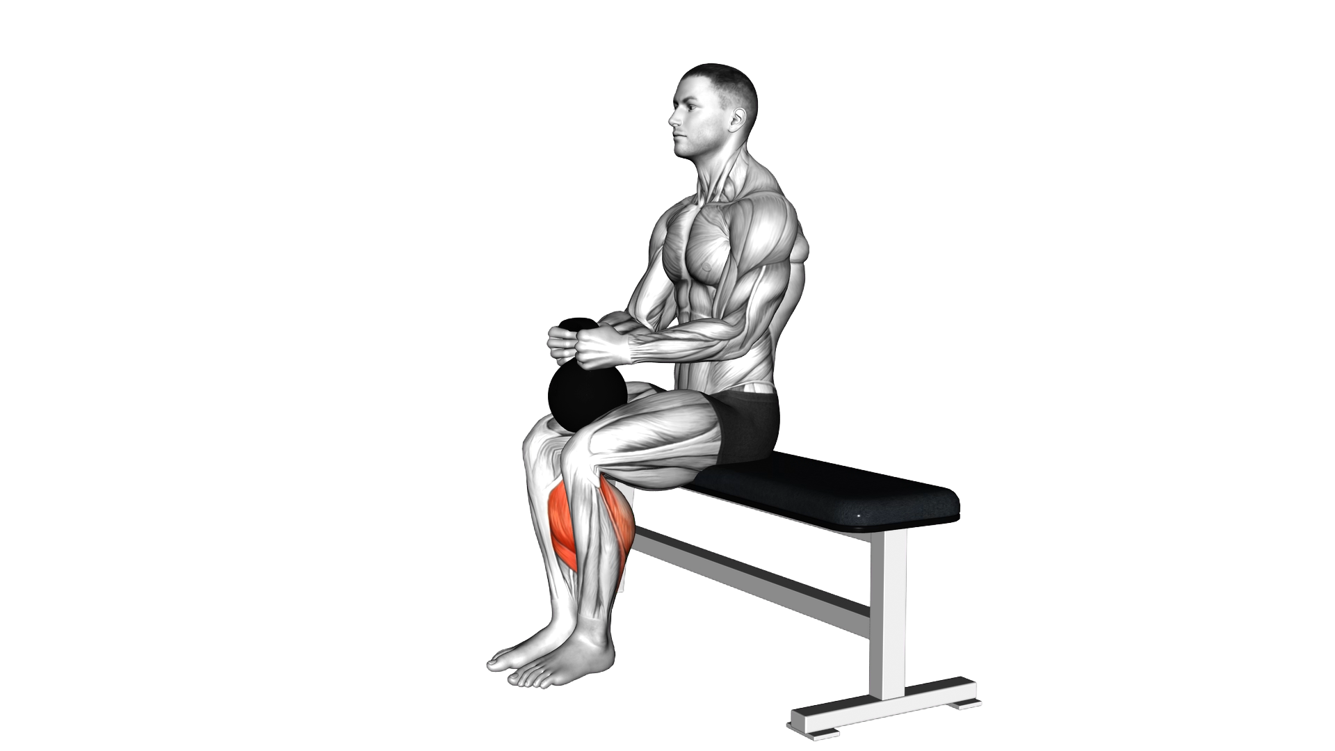 Kettlebell Sitting Calf Raise exercise demonstration