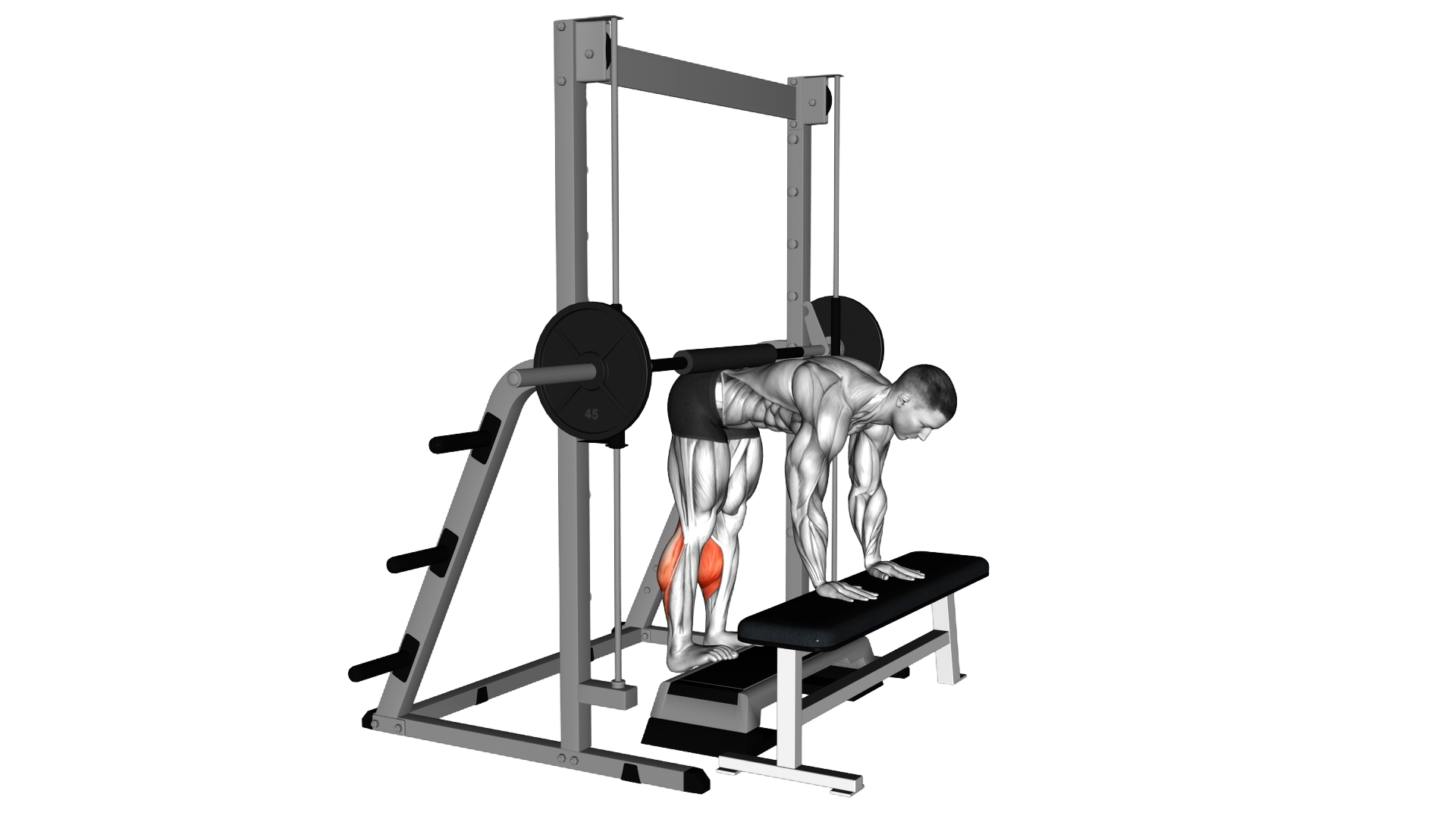 Smith Donkey Calf Raise exercise demonstration