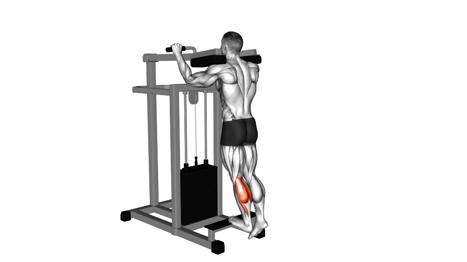 Lever Standing Single Leg Calf Raise exercise demonstration
