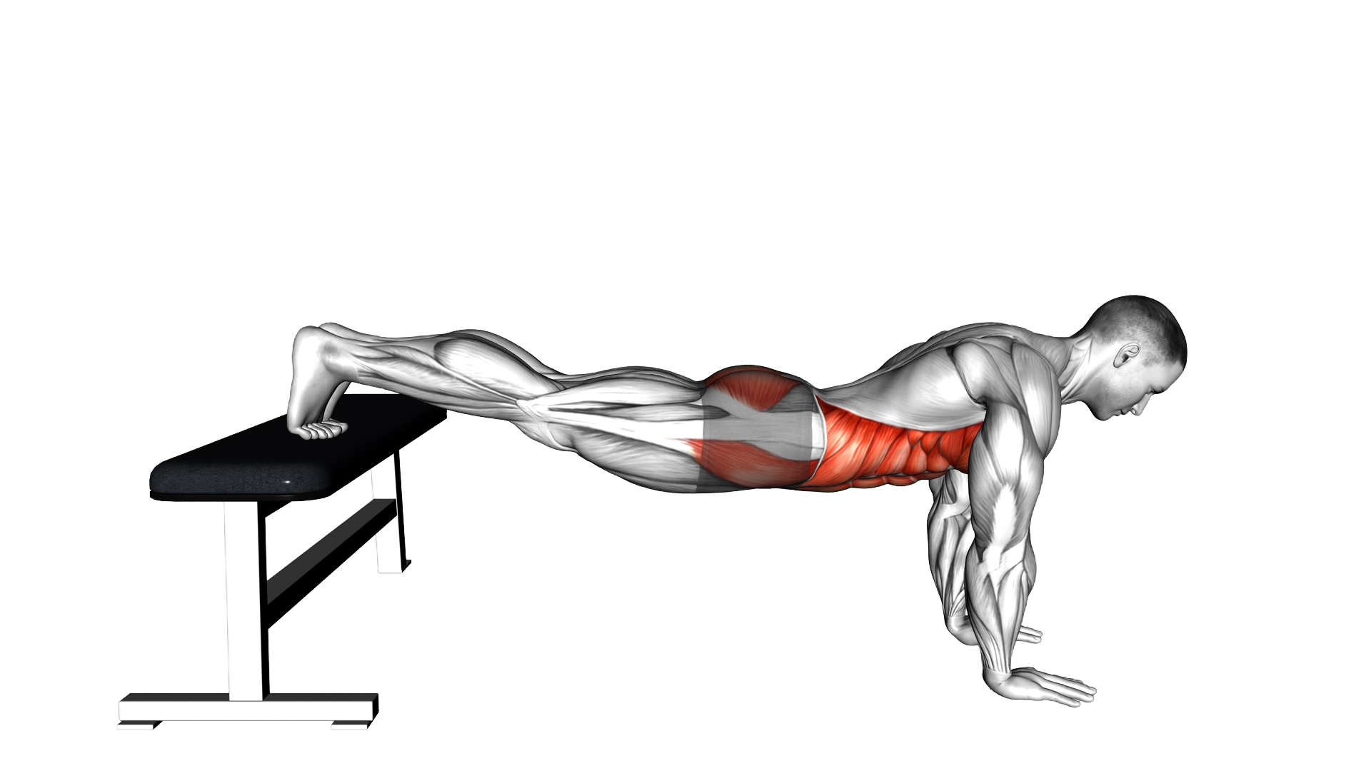 Plank with Feet Elevated exercise demonstration