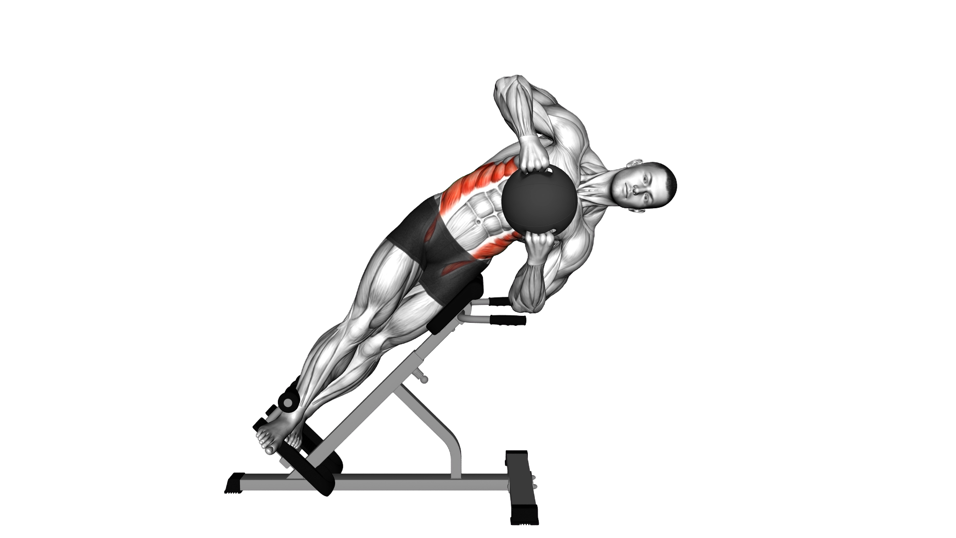 Medicine Ball 45 degree Side Bend exercise demonstration