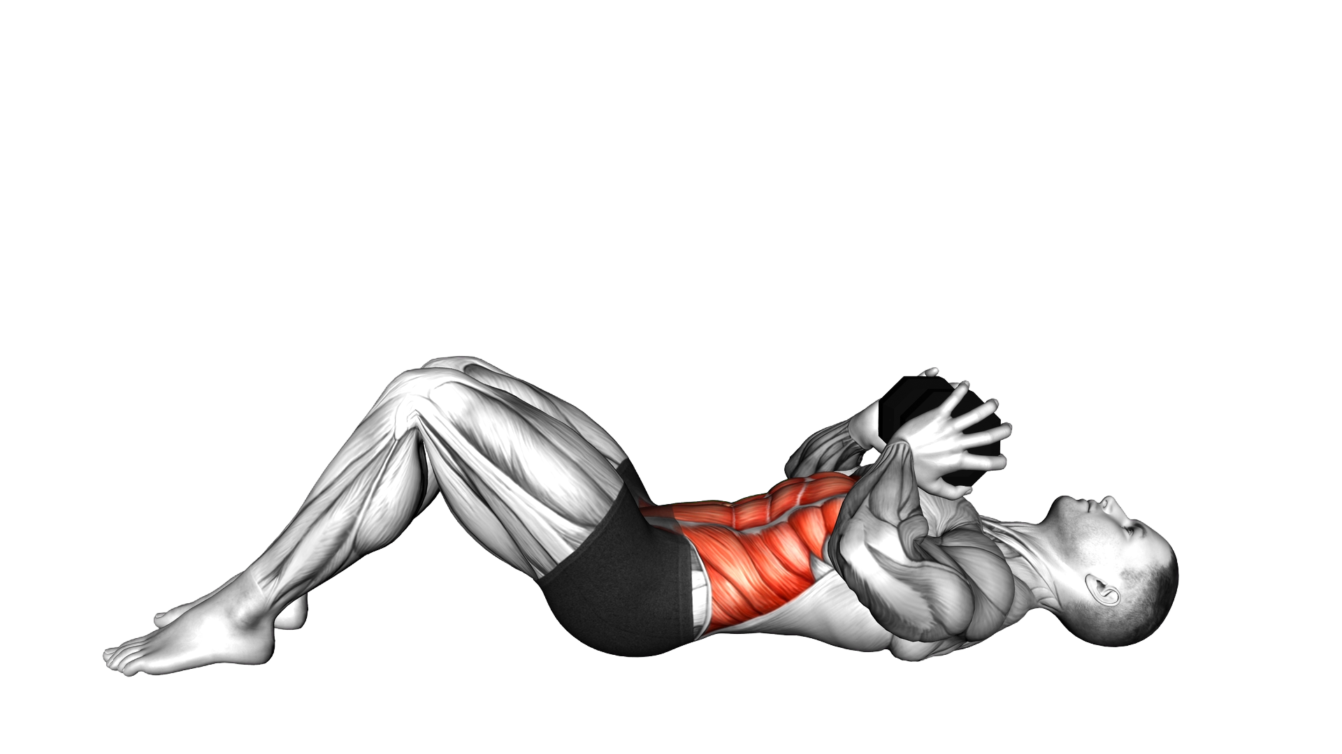 Dumbbell Twisting Crunch exercise demonstration