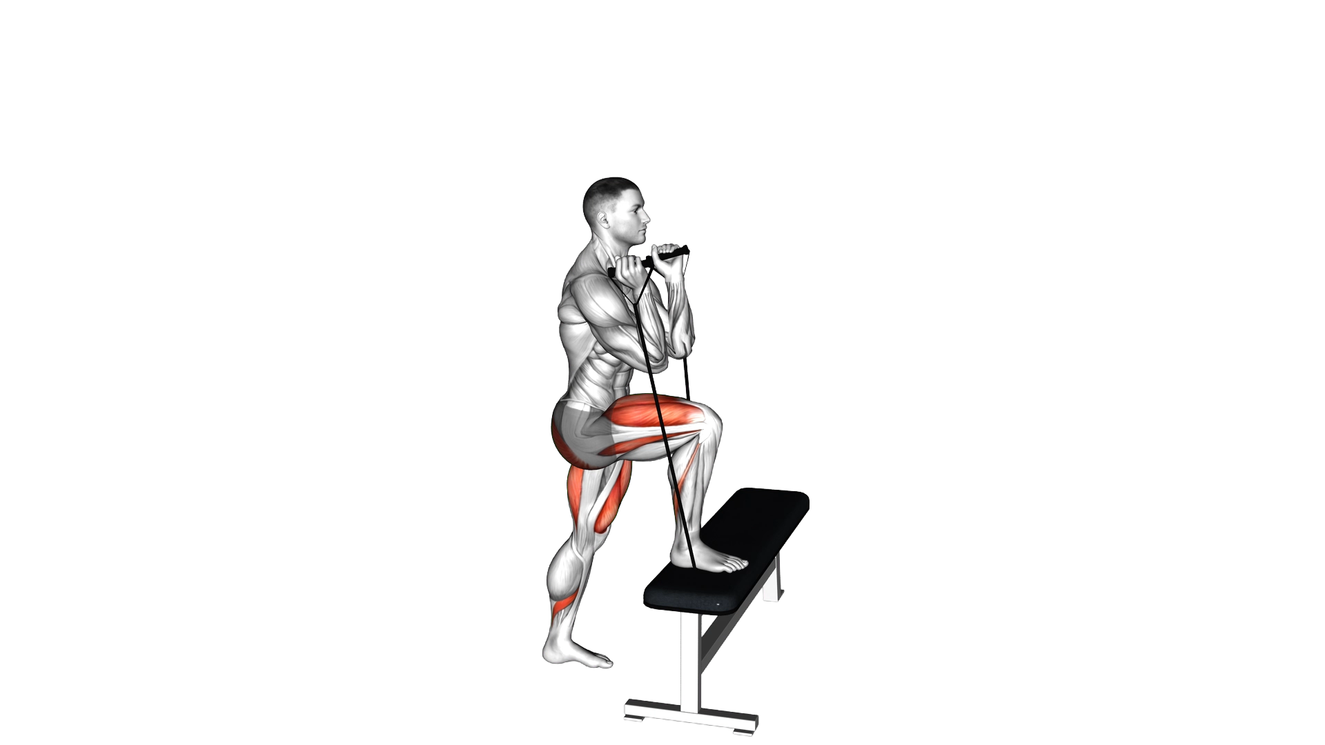 Band Step up exercise demonstration