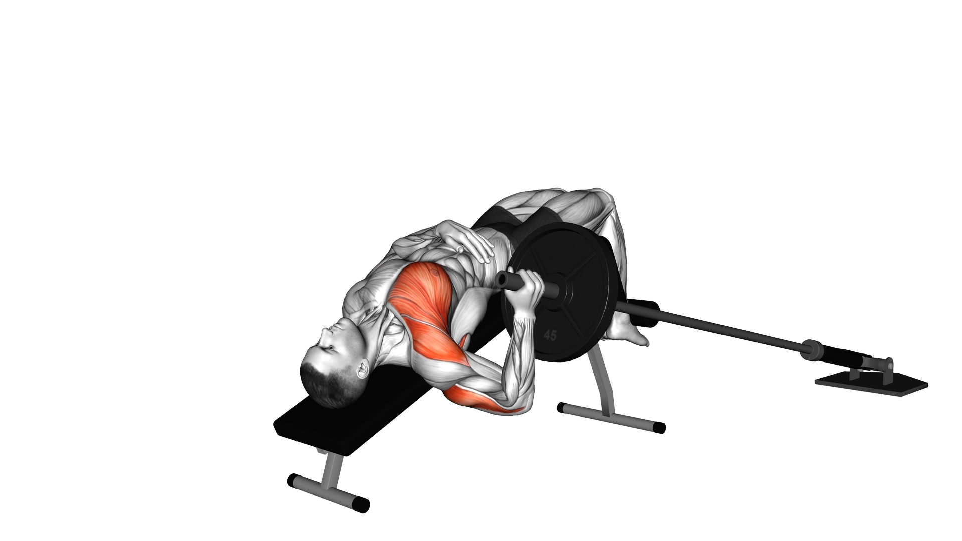 Landmine Decline Single Arm Chest Press exercise demonstration