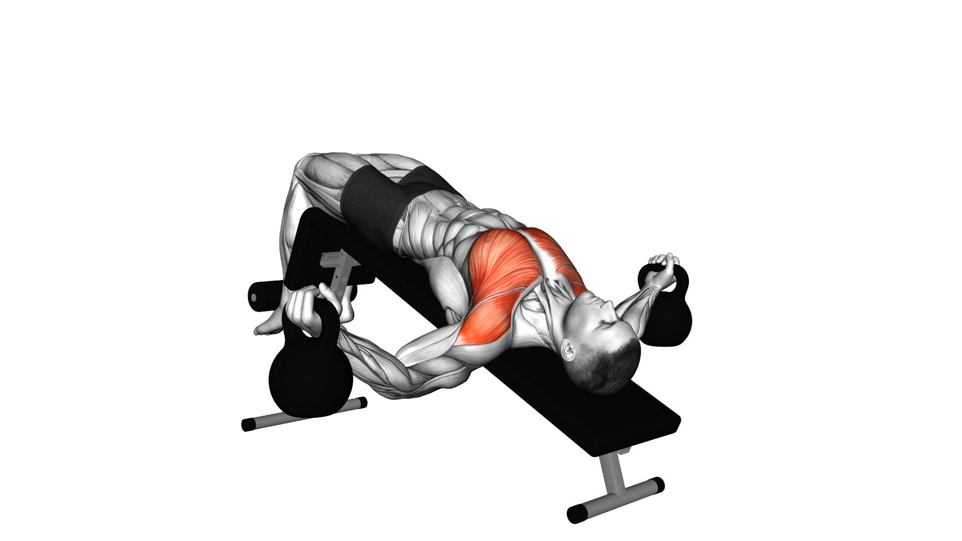 Kettlebell Decline Fly exercise demonstration