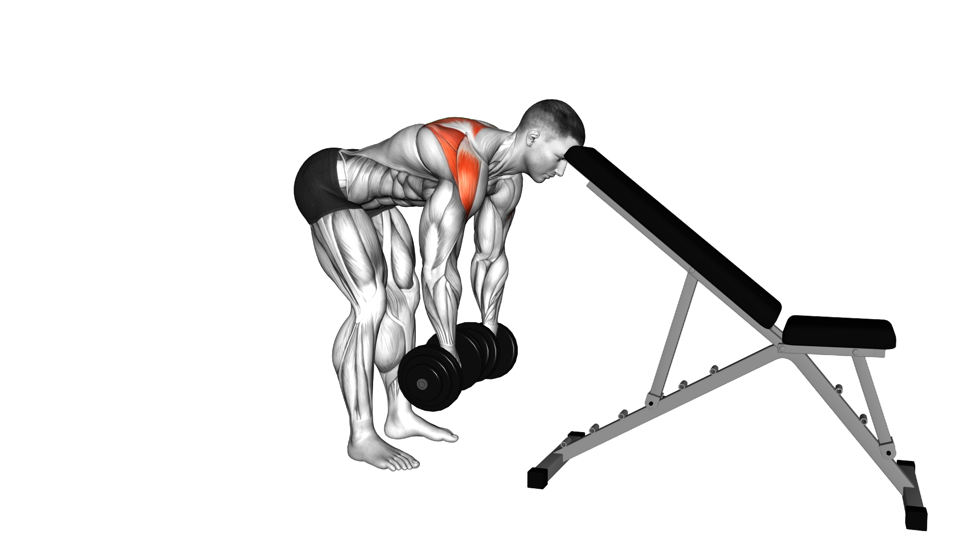 Dumbbell Neutral Grip Alternating Rear Lateral Ra exercise demonstration