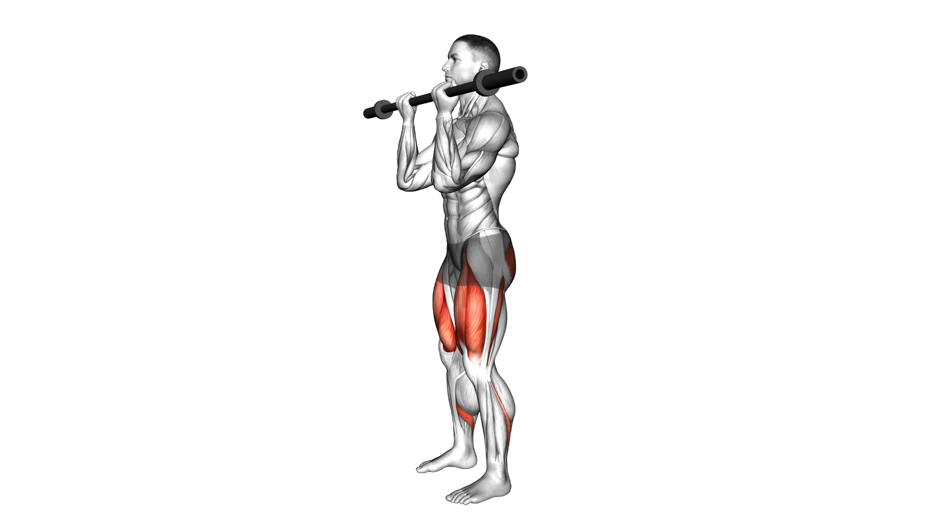 Barbell Core Squat exercise demonstration