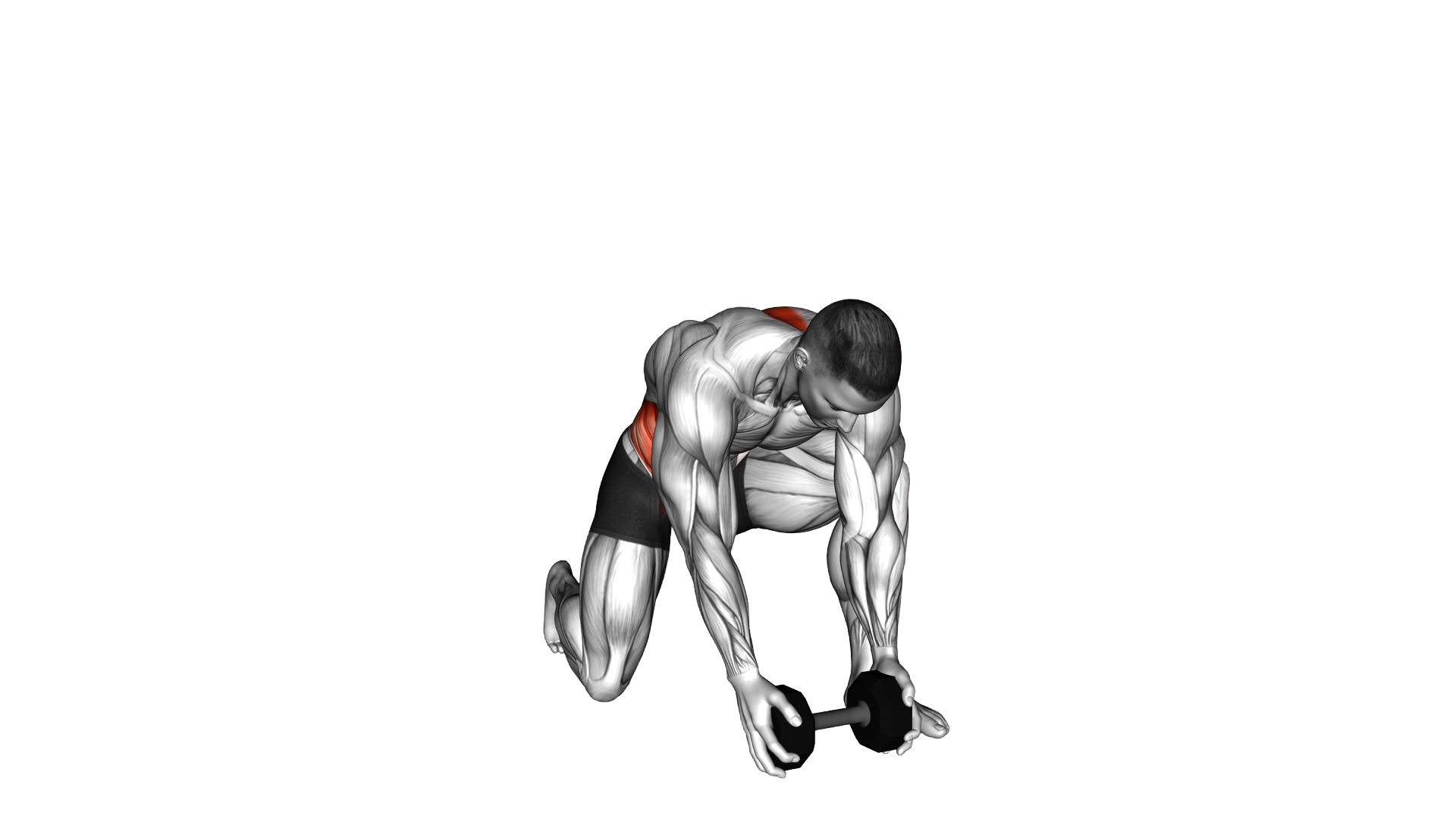Dumbbell Half Kneeling Thor Lift exercise demonstration