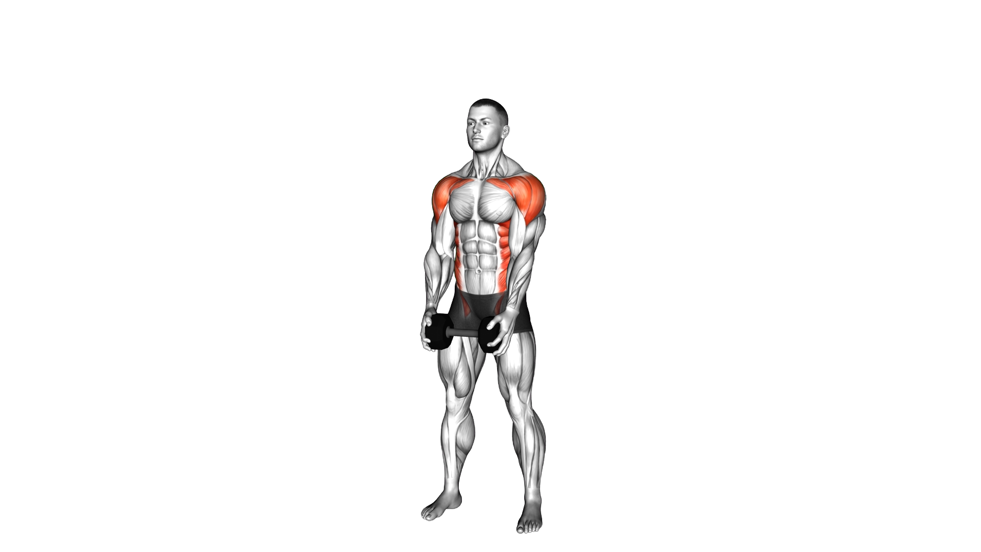 Dumbbell Standing Cross Clean exercise demonstration
