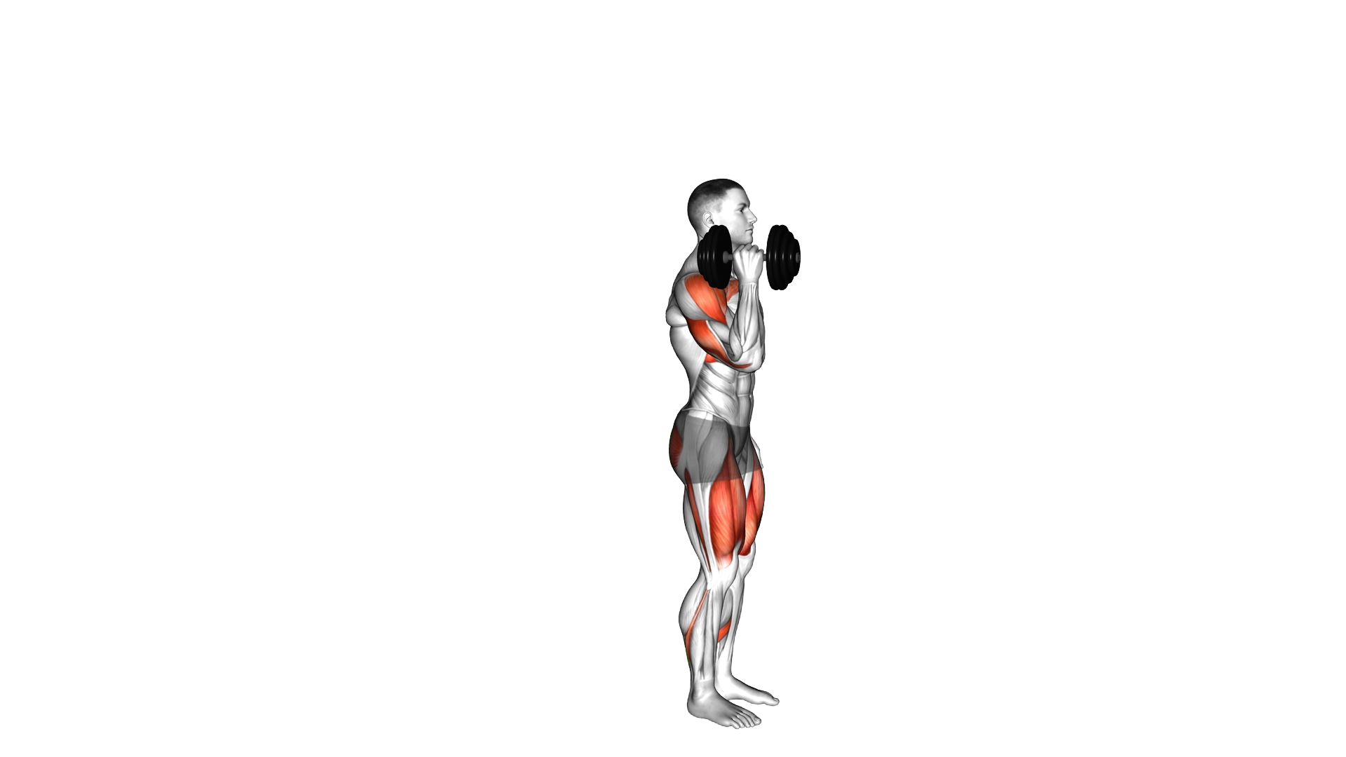 Dumbbell Rear Lunge to Single Arm Shoulders Press exercise demonstration
