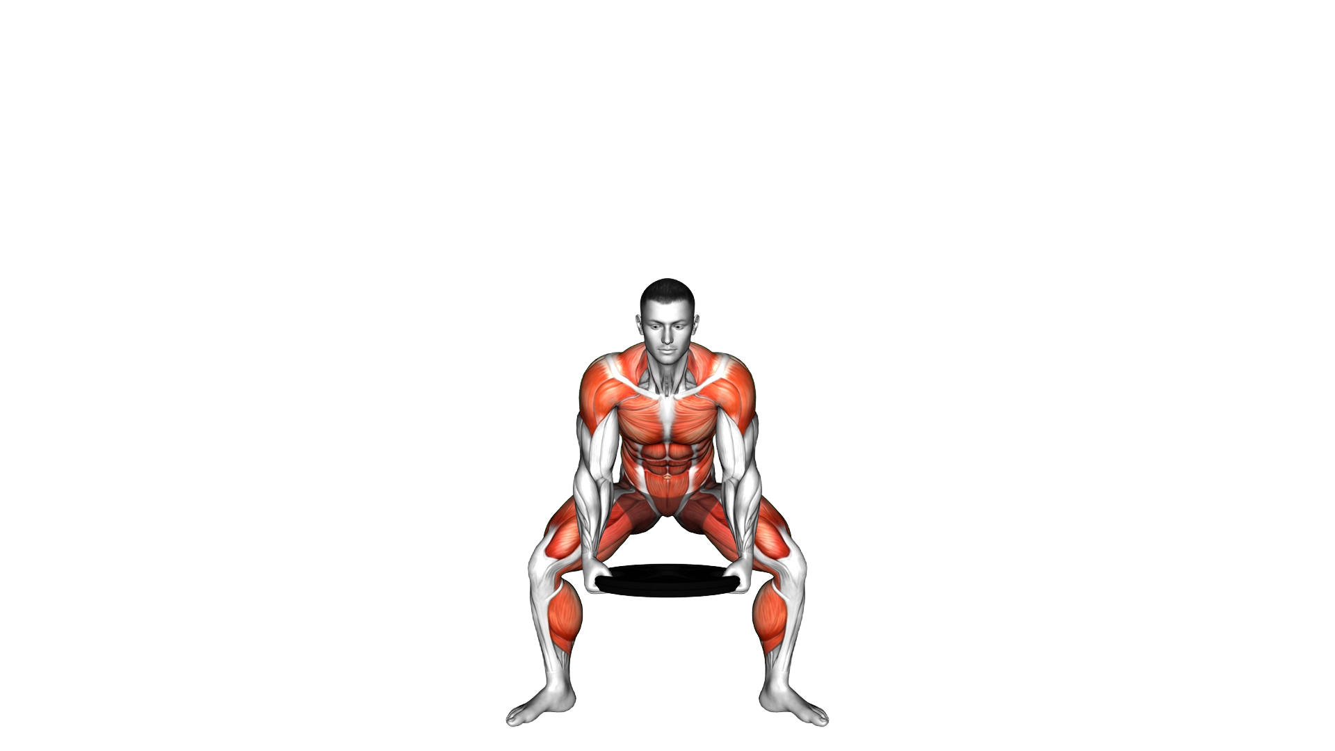 Weighted Plate Side Up Squat exercise demonstration