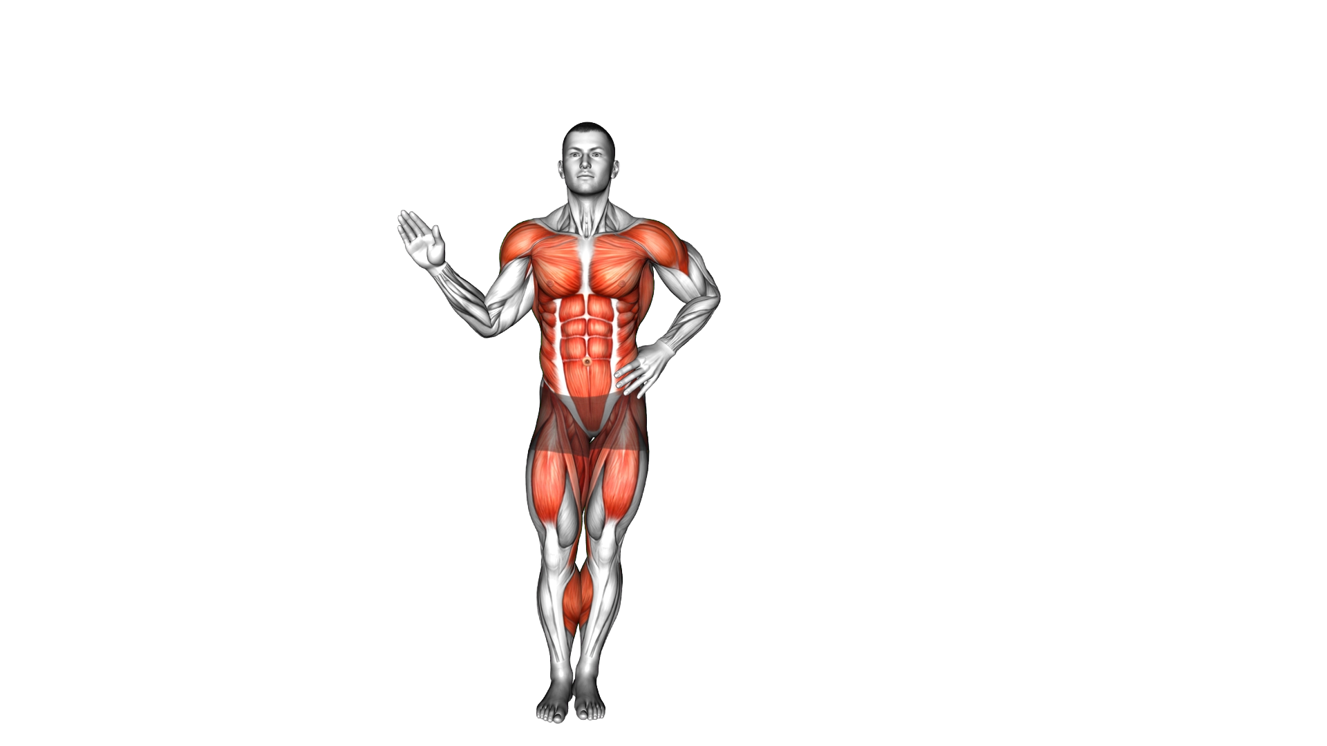 Step Out Side Bend exercise demonstration