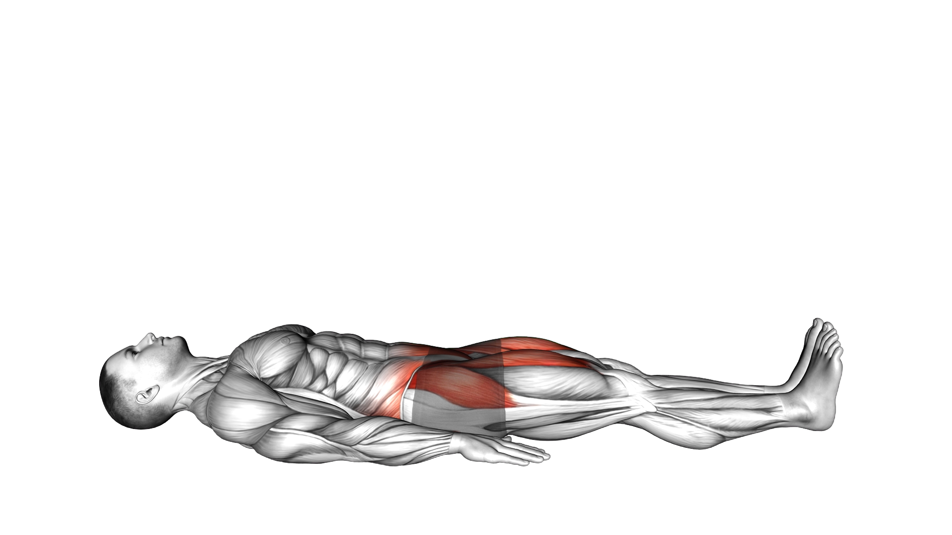 Lying Alternate Bent Leg Raise exercise demonstration