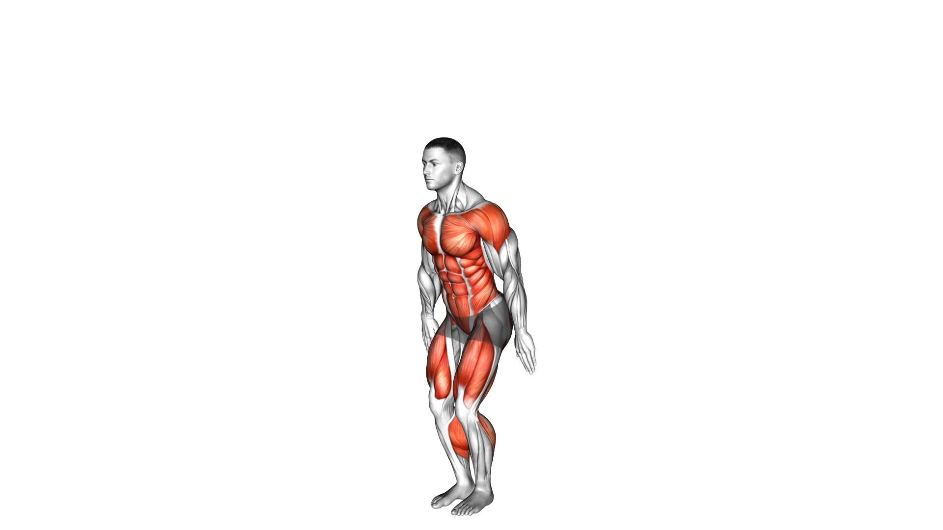 Arm Raise Back Leg Swing exercise demonstration