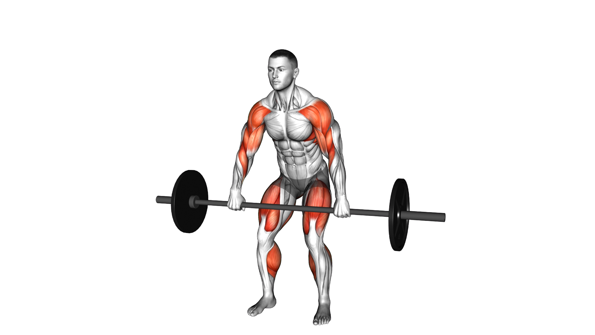 Barbell High Pull exercise demonstration