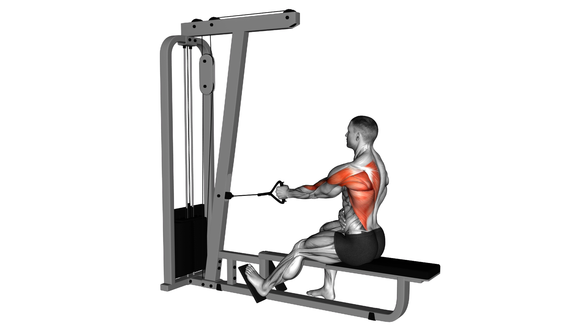 Cable Seated Single Arm Lats Focused Row exercise demonstration