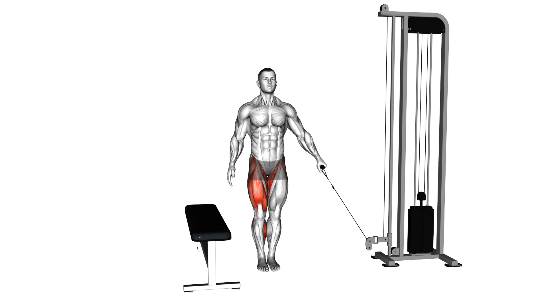 Cable Lateral Step up exercise demonstration